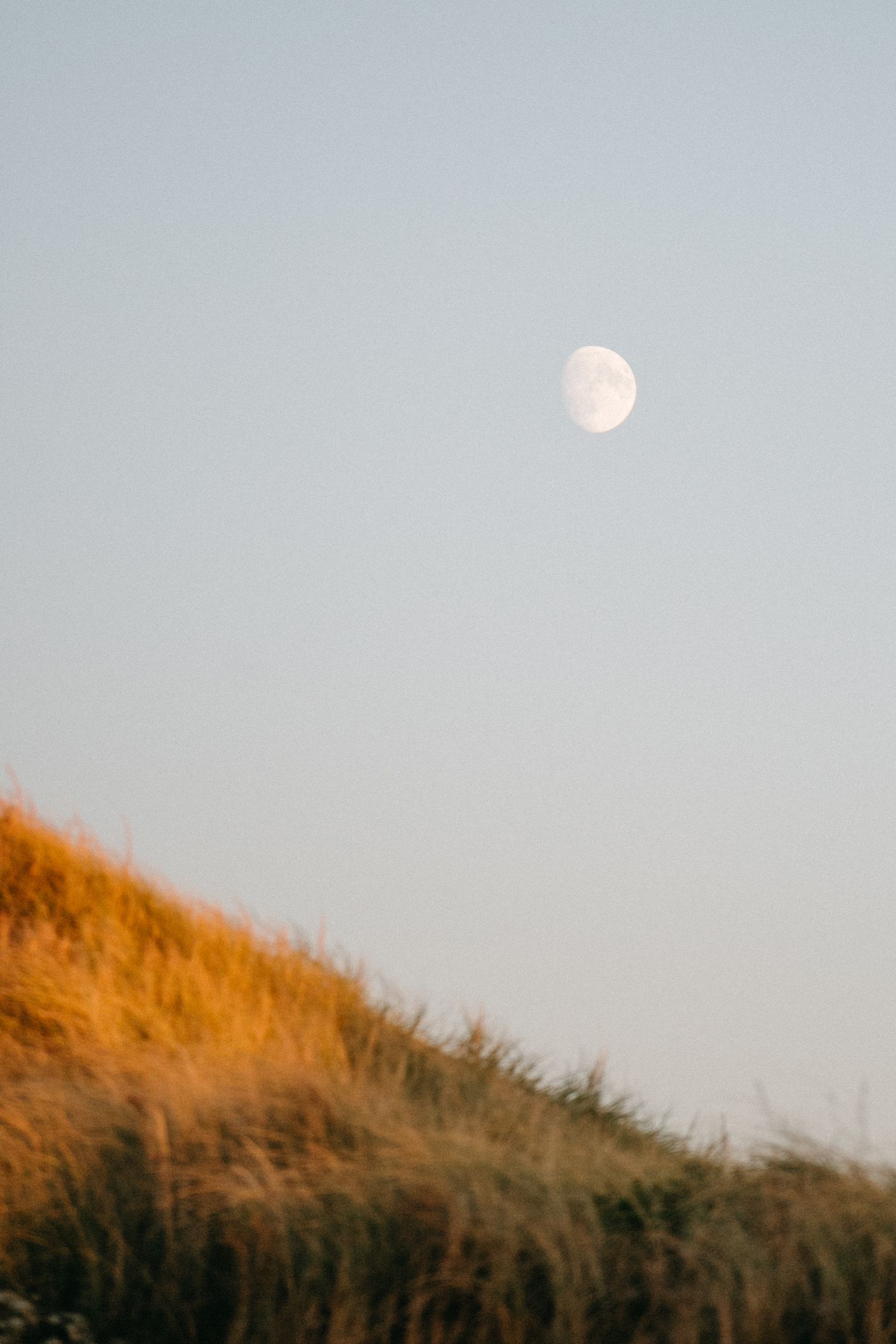 Full moon rising over golden hillside during sunset.