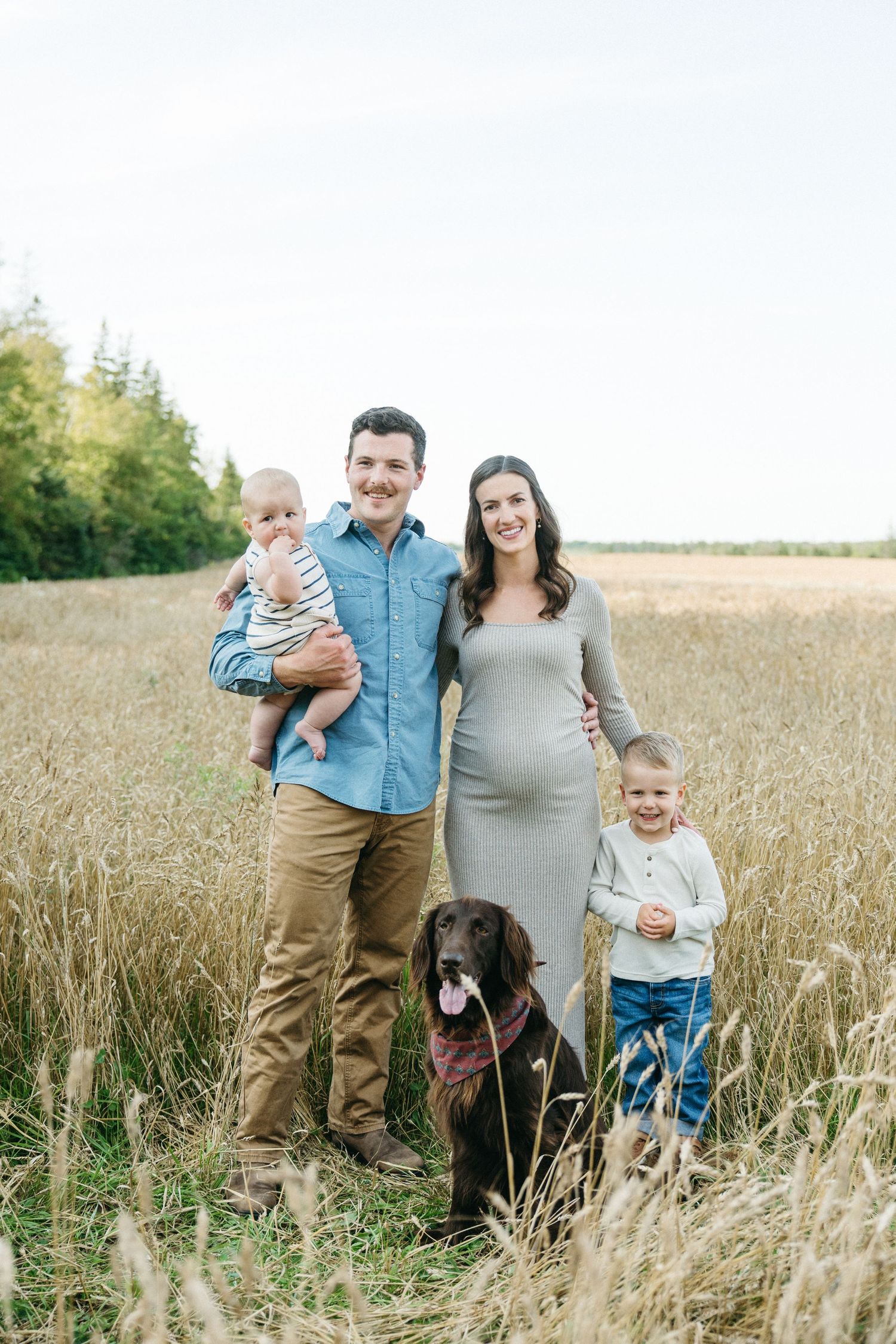 Happy family with pregnant mom, dad holding baby, young son, and brown dog posing in golden field.
