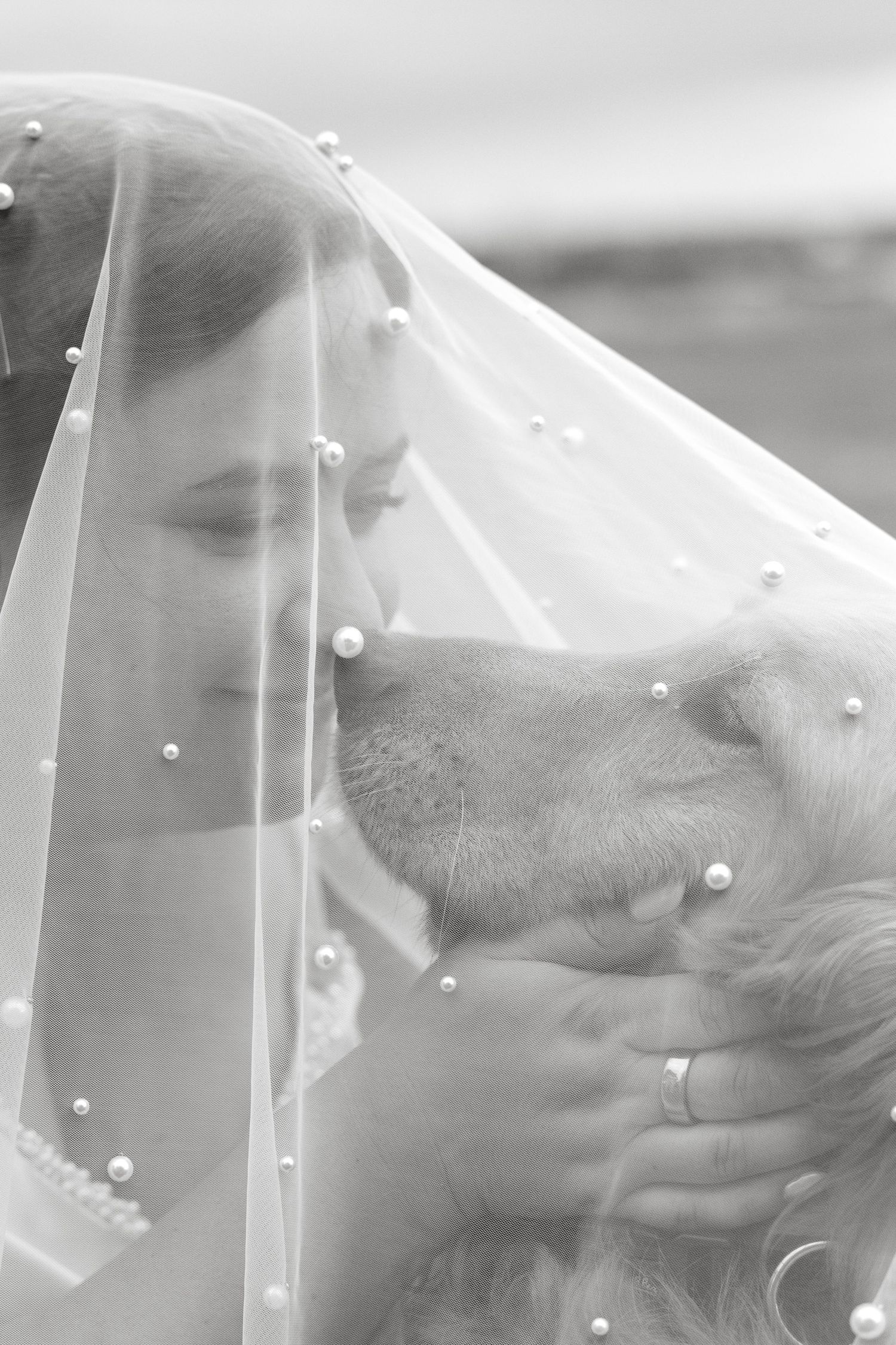 Black and white portrait of a bride in a pearl-trimmed veil tenderly holding a golden dog.