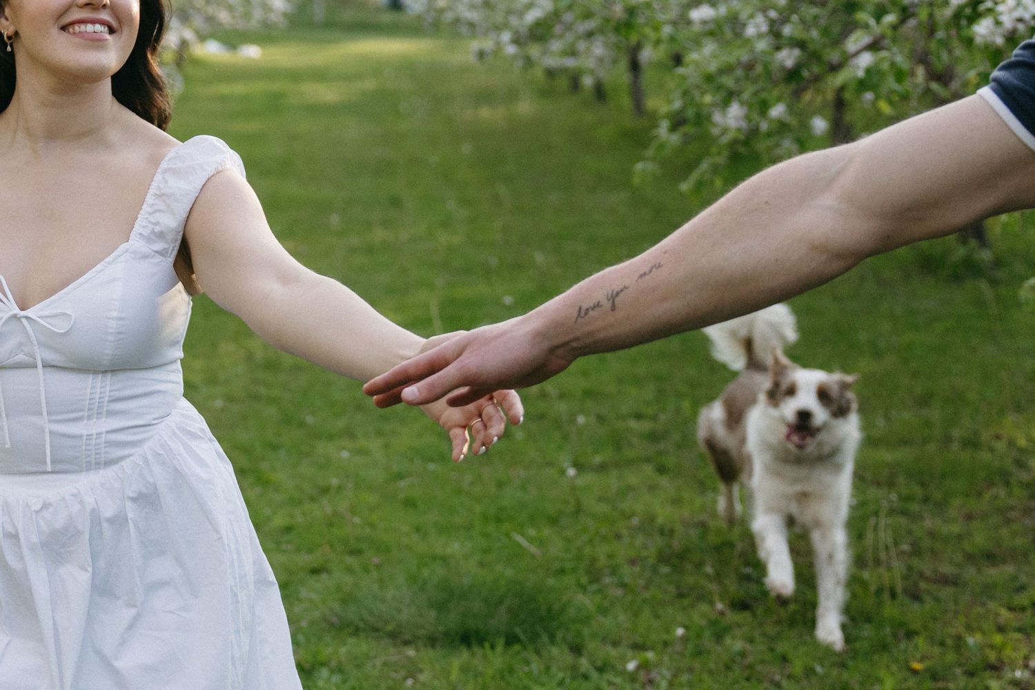 A couple holds hands in a green field with a fluffy dog visible in the background.