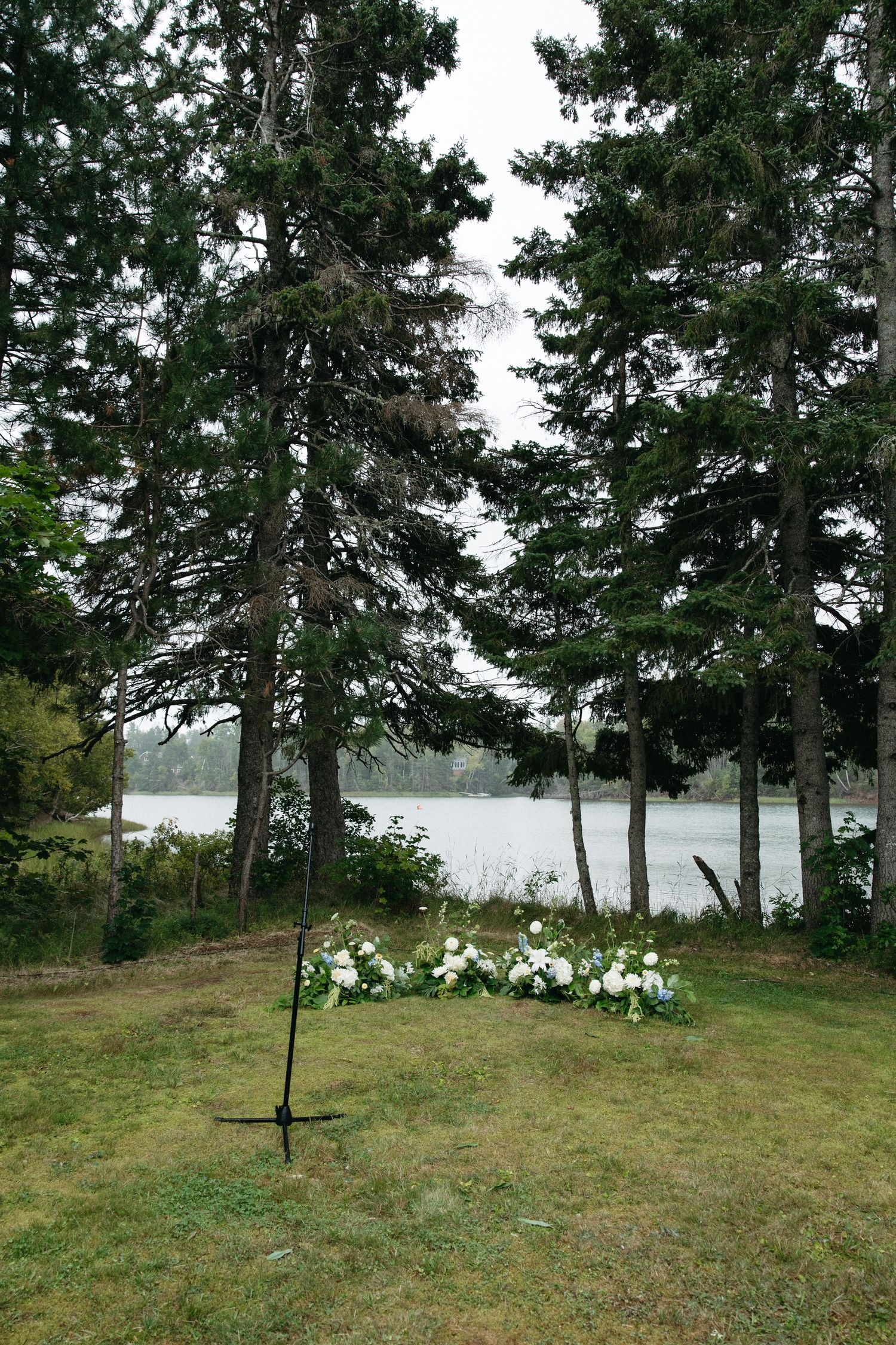 A scenic lakeside wedding venue with tall pine trees and a grassy slope leading to the water.