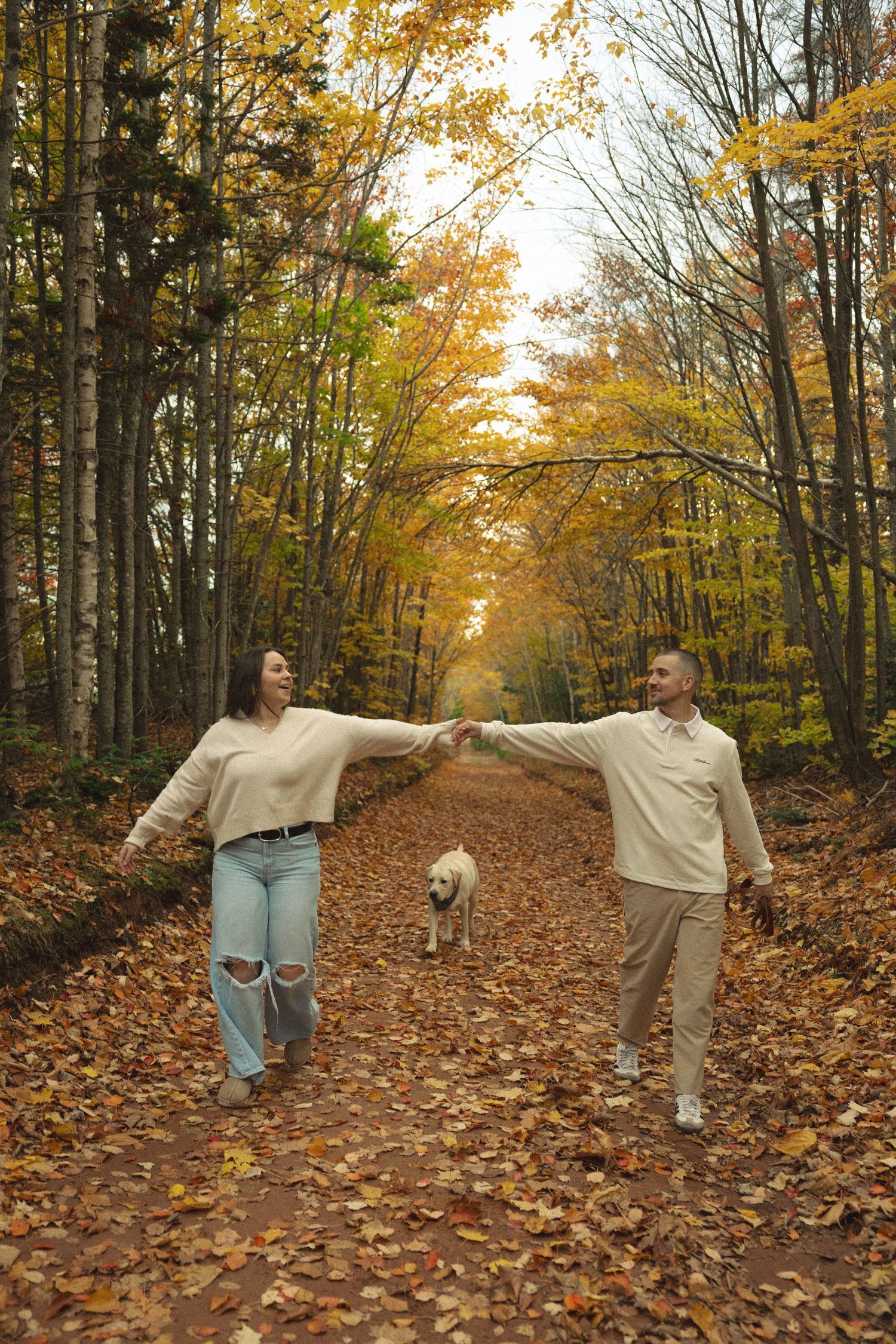 A couple walks together on a leaf-covered autumn forest path with their dog on a sunny day.