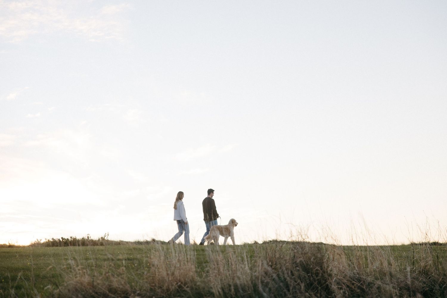 Two people walk a golden dog along a grassy hilltop at sunset under a soft, pale sky with wispy clouds.