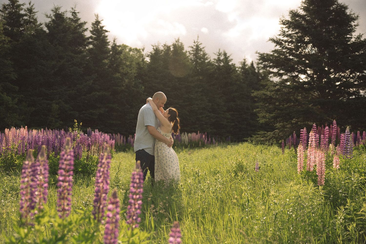 Couple embracing in a field of purple and pink lupine flowers with evergreen trees in the background.