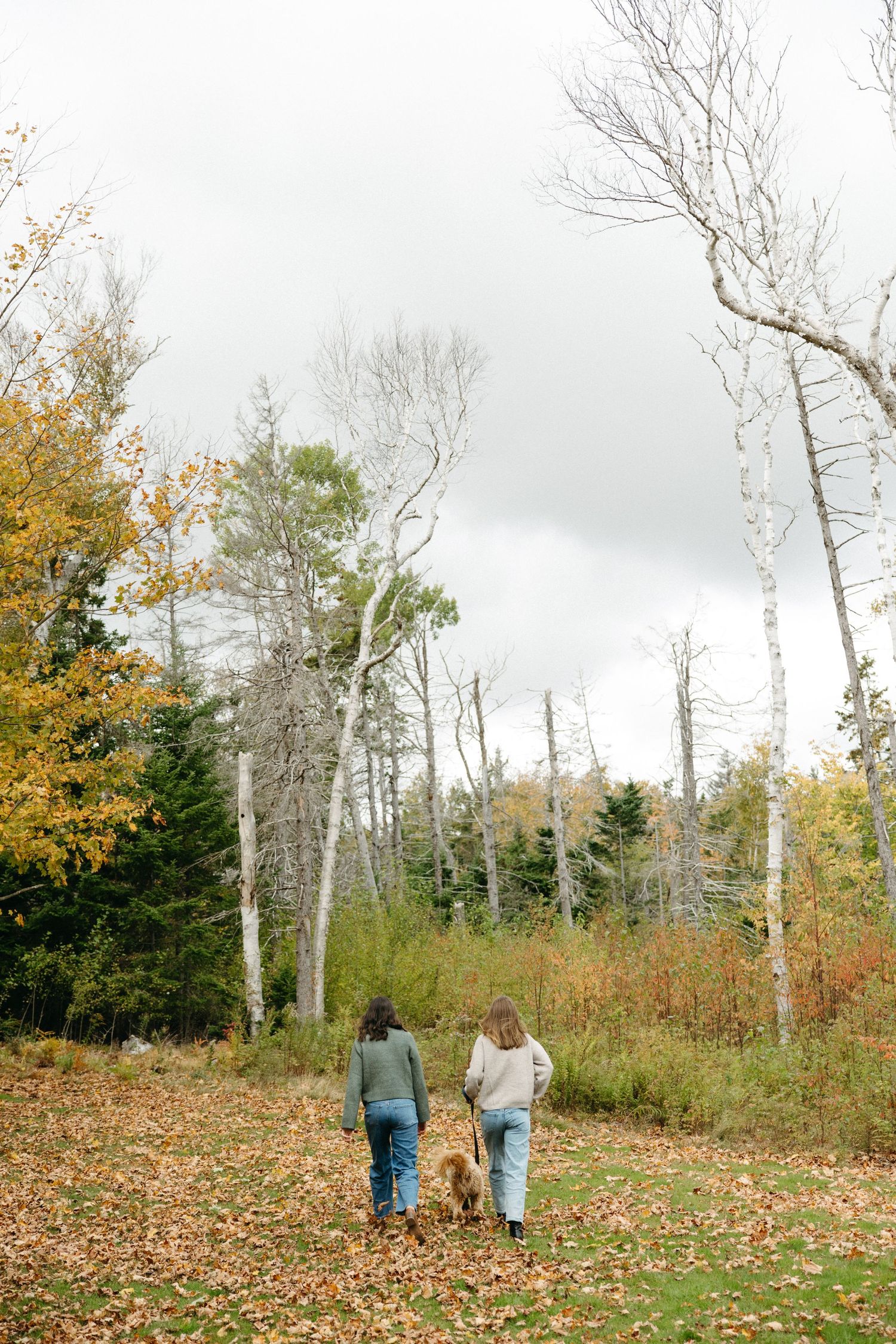 Two women in sweaters and jeans walk with a golden doodle dog across a leaf-covered lawn toward autumn trees.