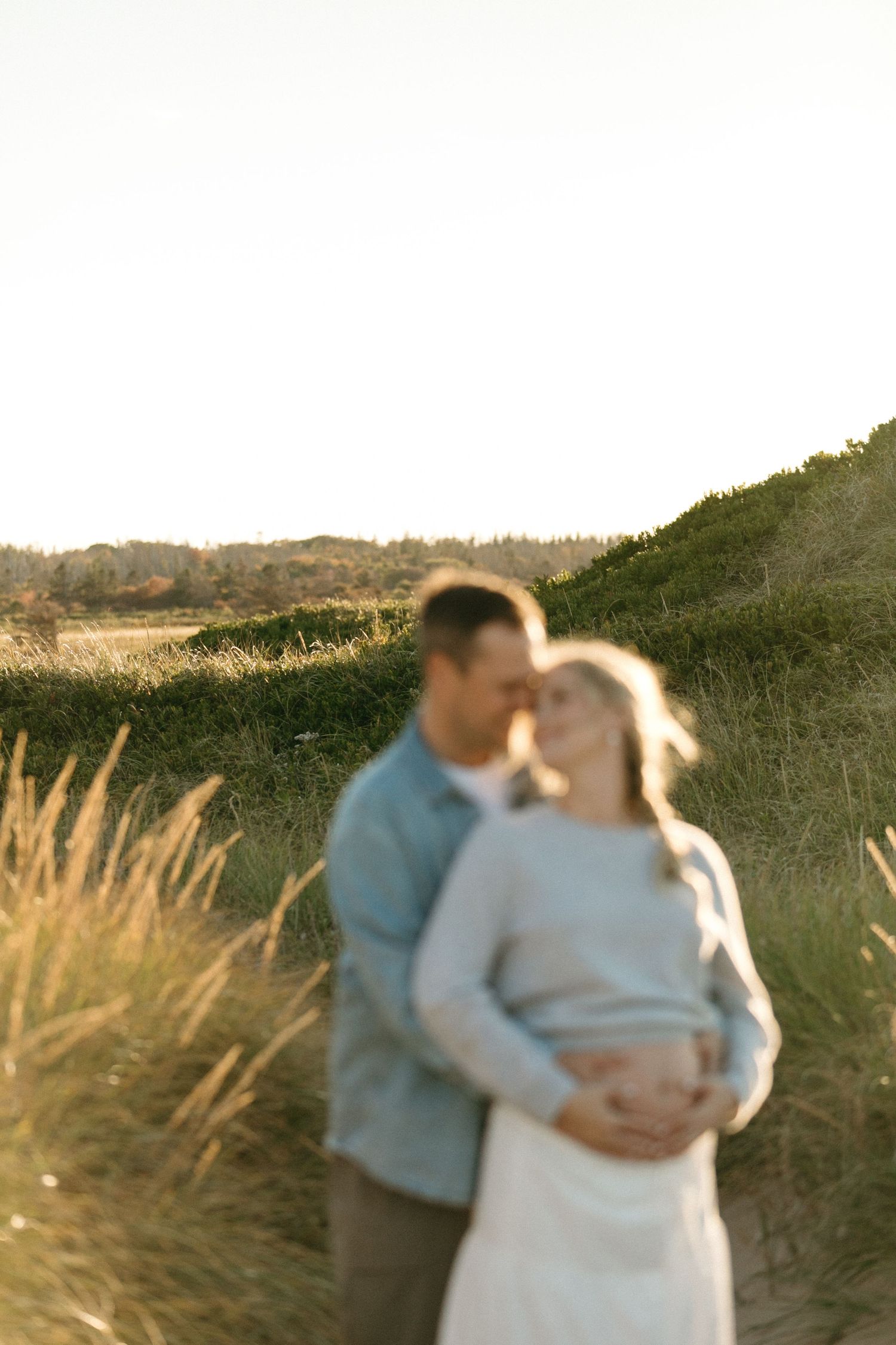 A soft-focus maternity portrait with couple embracing among sunlit coastal dunes.