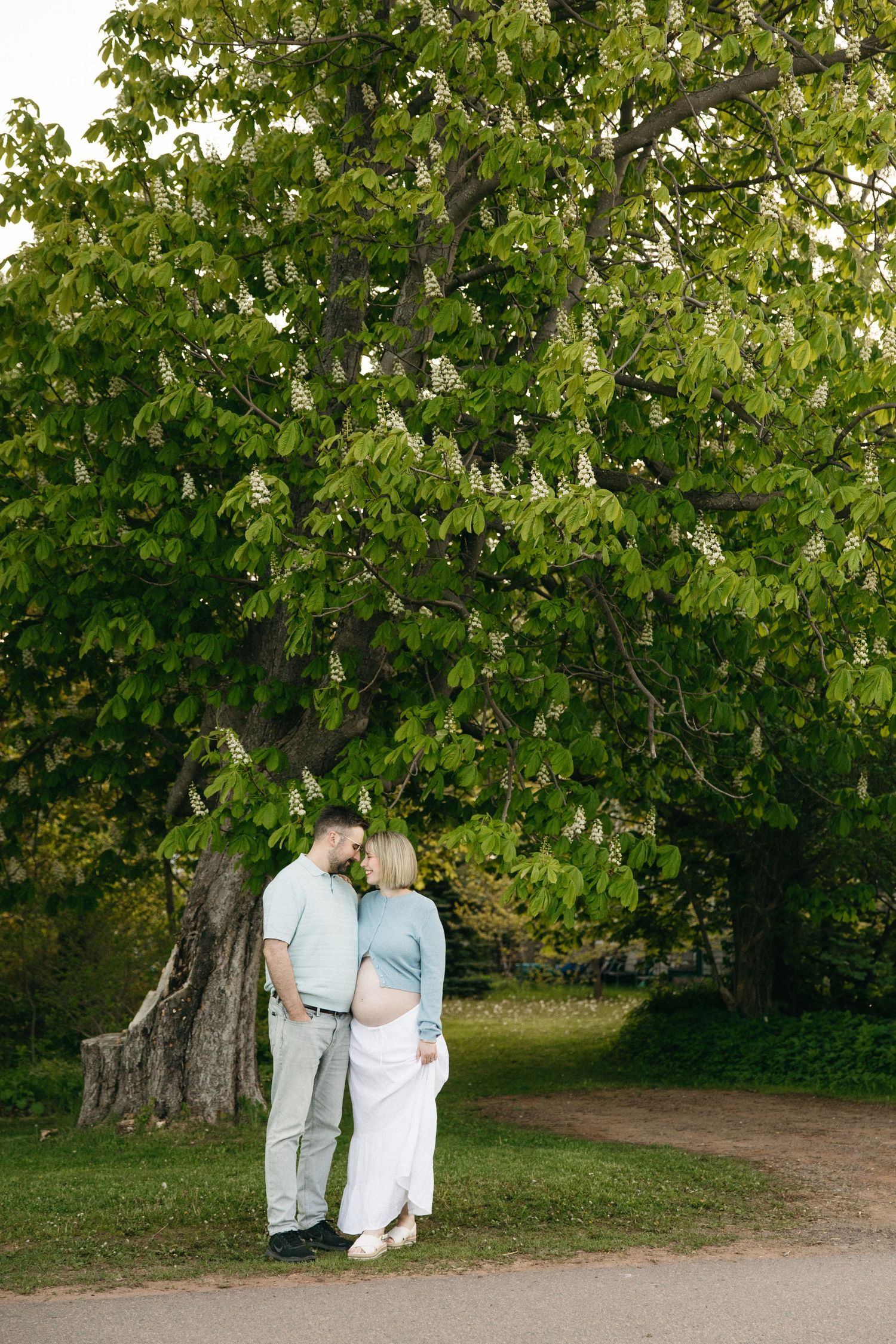 A couple stands together under a large blooming chestnut tree in a lush green park, the woman visibly pregnant.