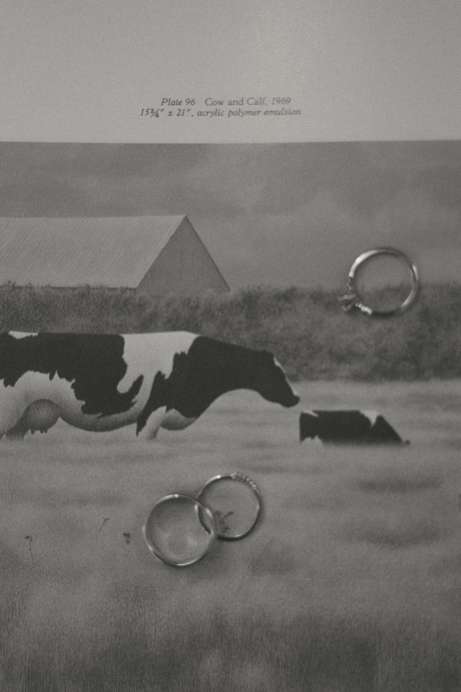 Vintage black and white sequence of a cow jumping over an object in front of a pyramid.