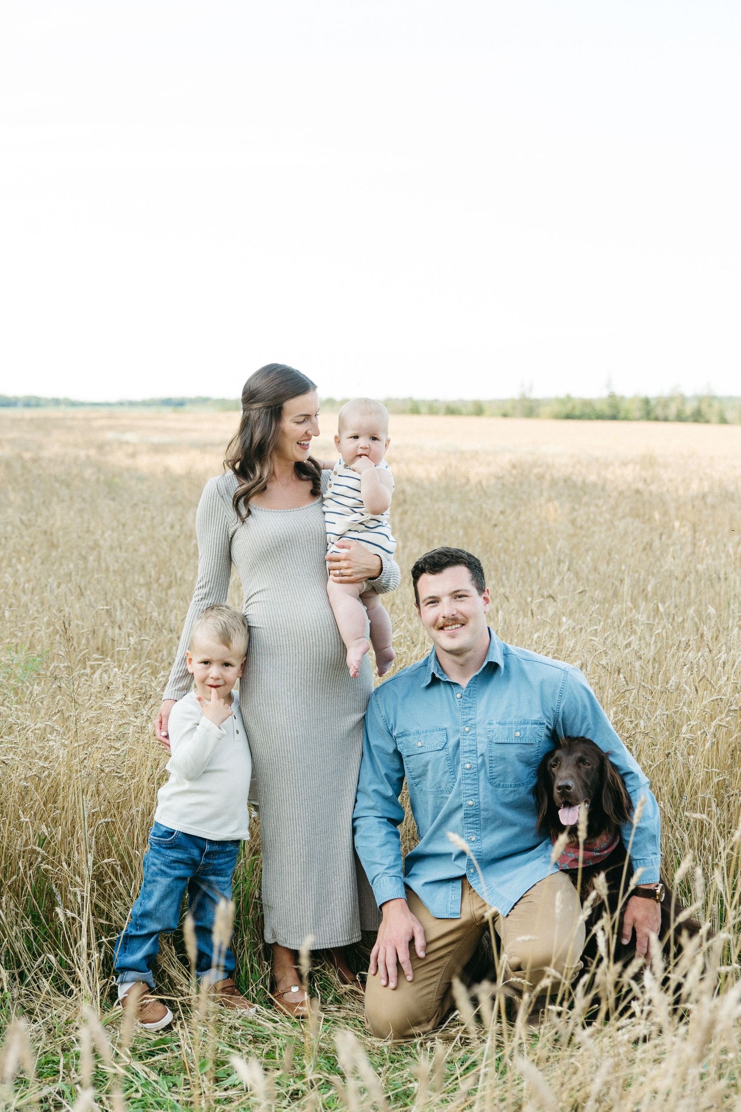 Family of four with a dog posing in a golden field, mother holding baby, father kneeling beside toddler.