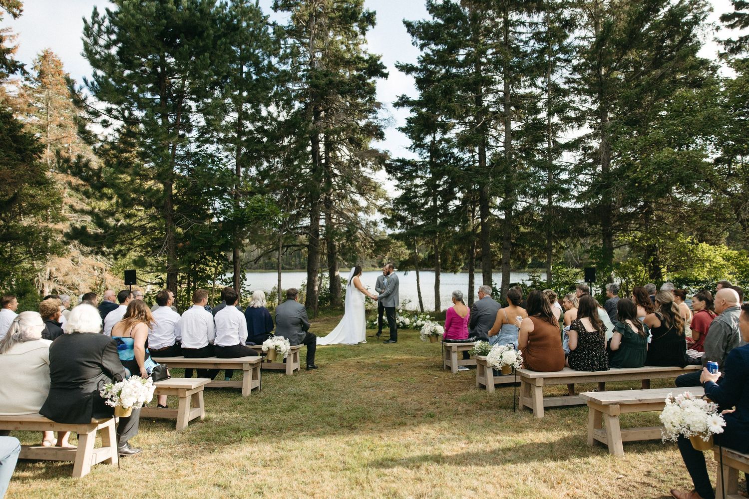 Rustic outdoor wedding venue with wooden benches arranged in rows among tall pine trees.