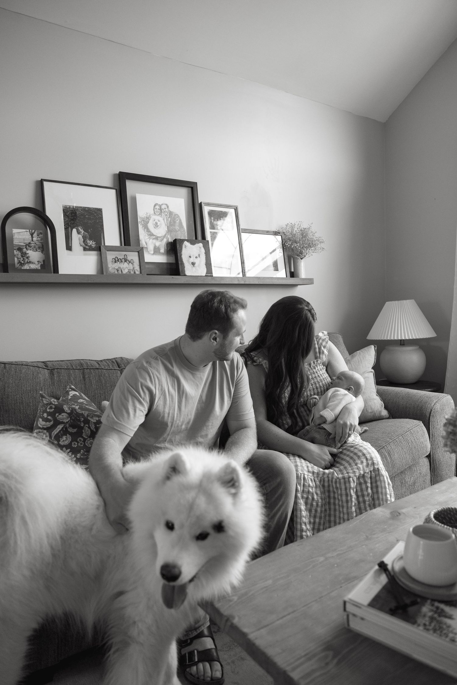 A white Samoyed dog sits on a couch with family members while framed photos decorate the wall.