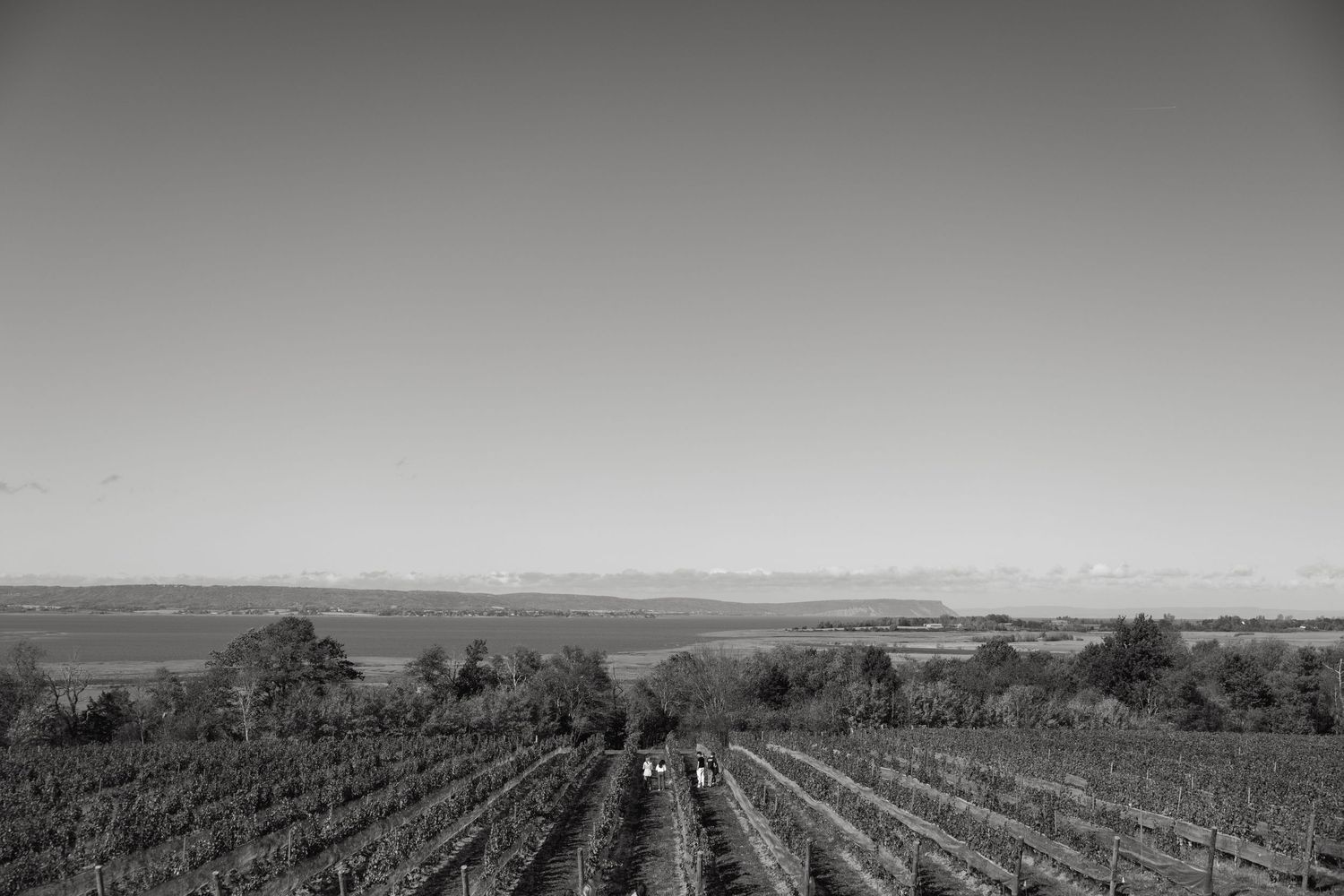 A black and white panoramic landscape view of agricultural fields.