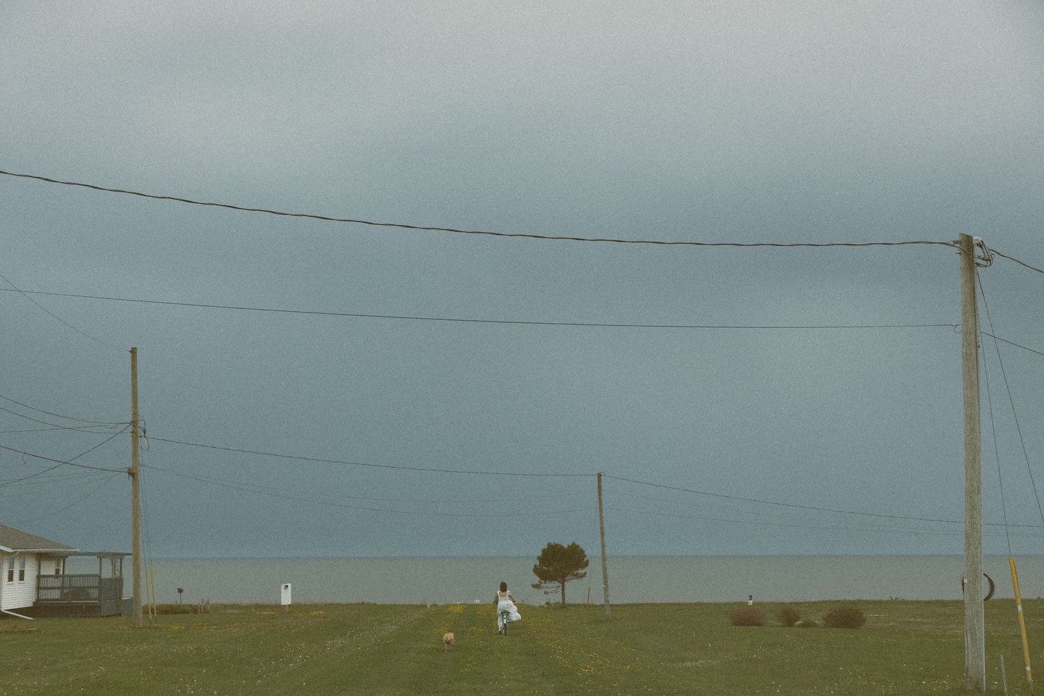 PEI weddings, PEI photographer, PEI elopement, PEI wedding Photographer, PEI Cliffs, PEI Beach photography
