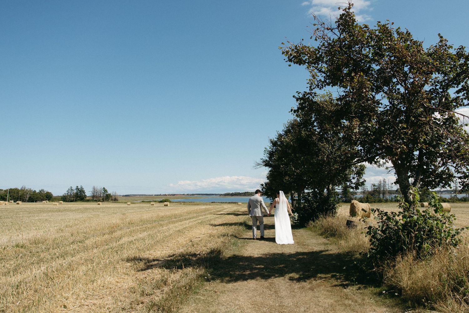 Bride and groom walking hand in hand along a rural dirt path beside golden harvest fields.