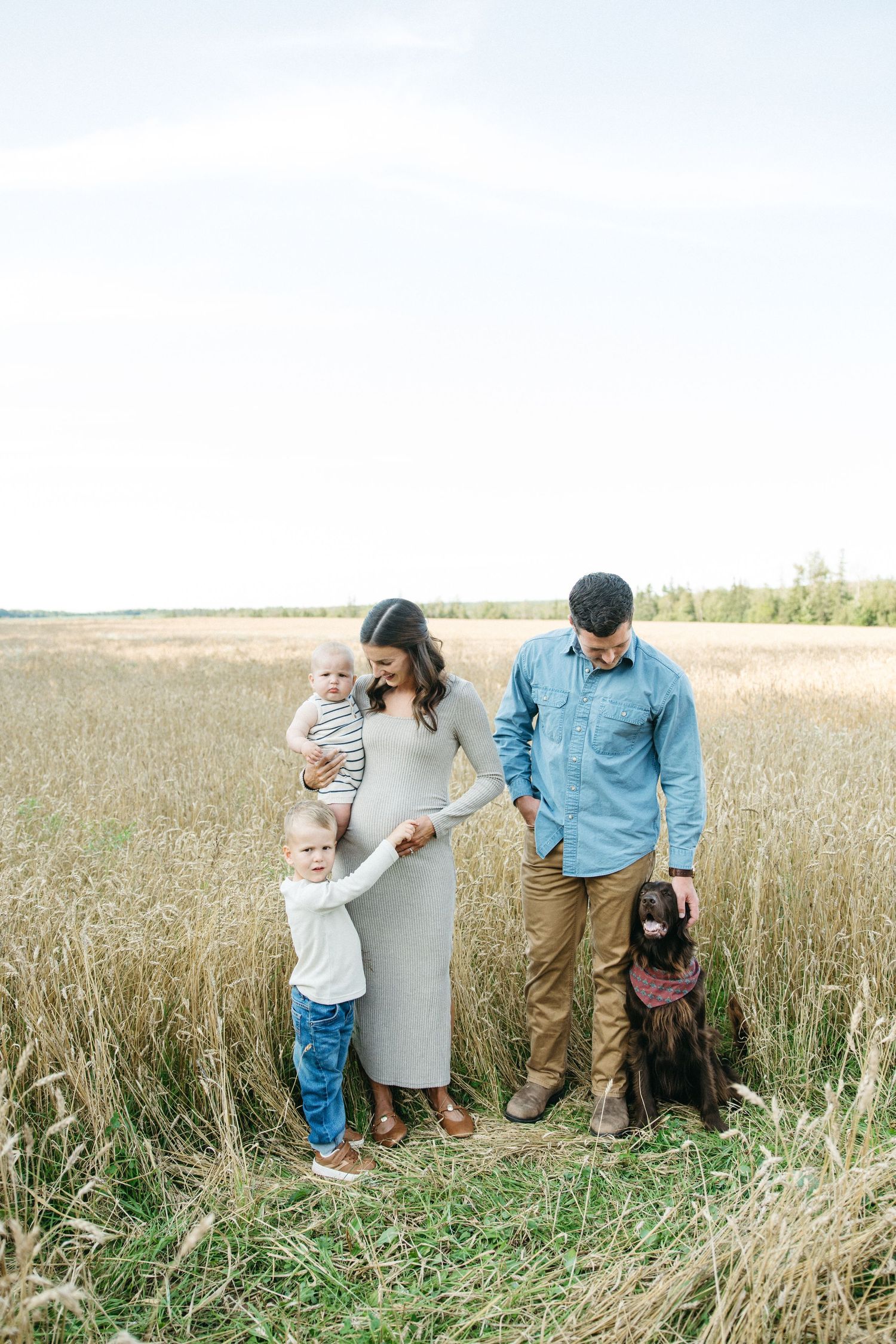 Pregnant woman in gray dress with family and dog standing in golden wheat field outdoors.