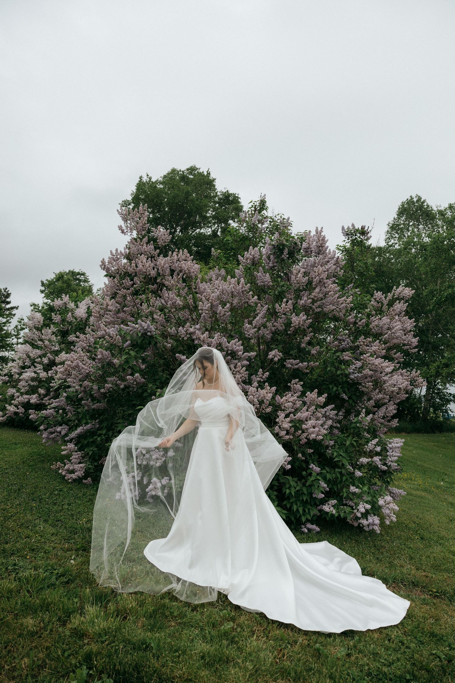 Bride in flowing white dress and veil stands near flowering lilac bushes.