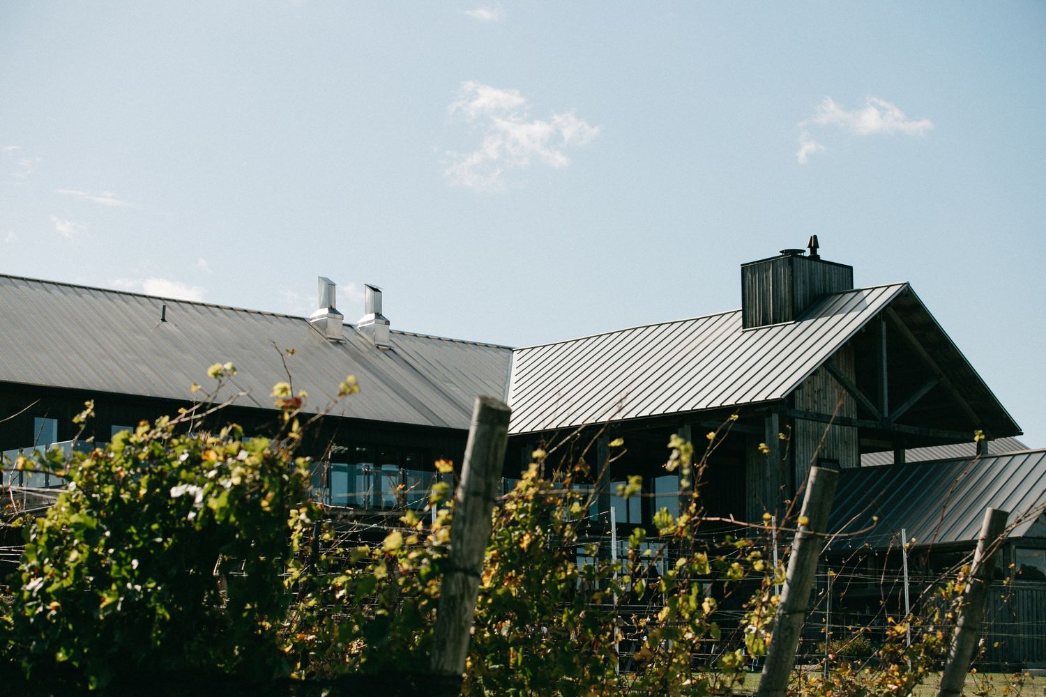 Modern farmhouse architecture with metal roof and yellow flowers in foreground.