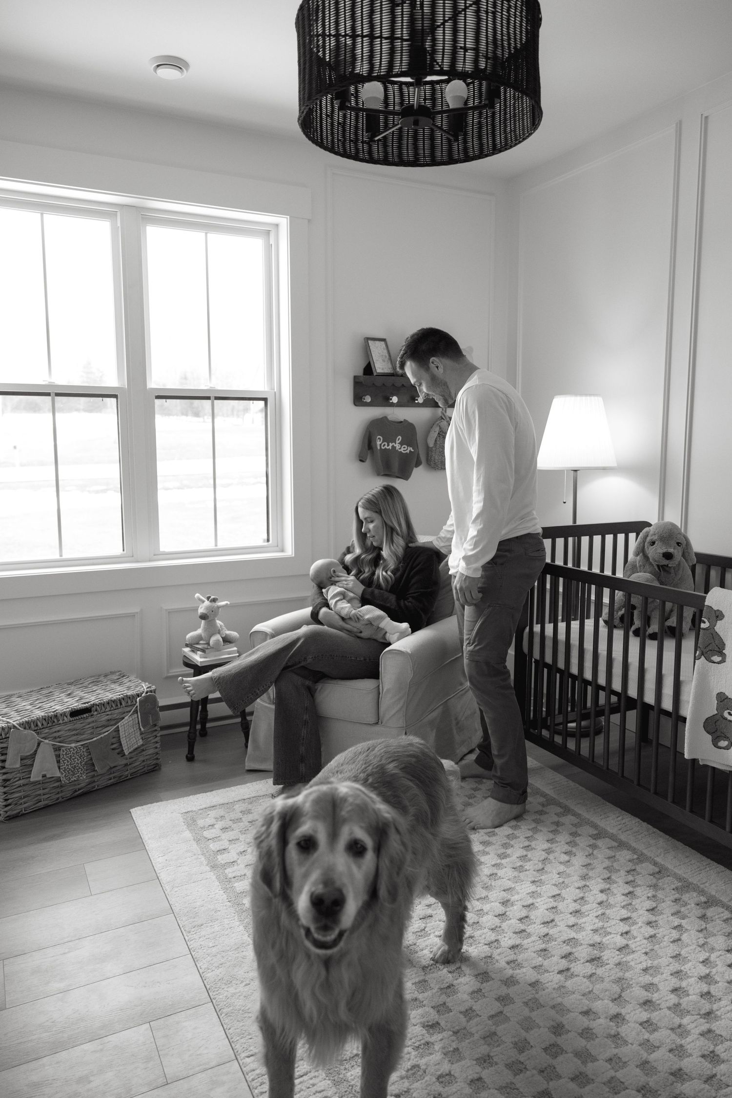 Golden retriever stands in a bright nursery room with a dark pendant light and wooden crib.