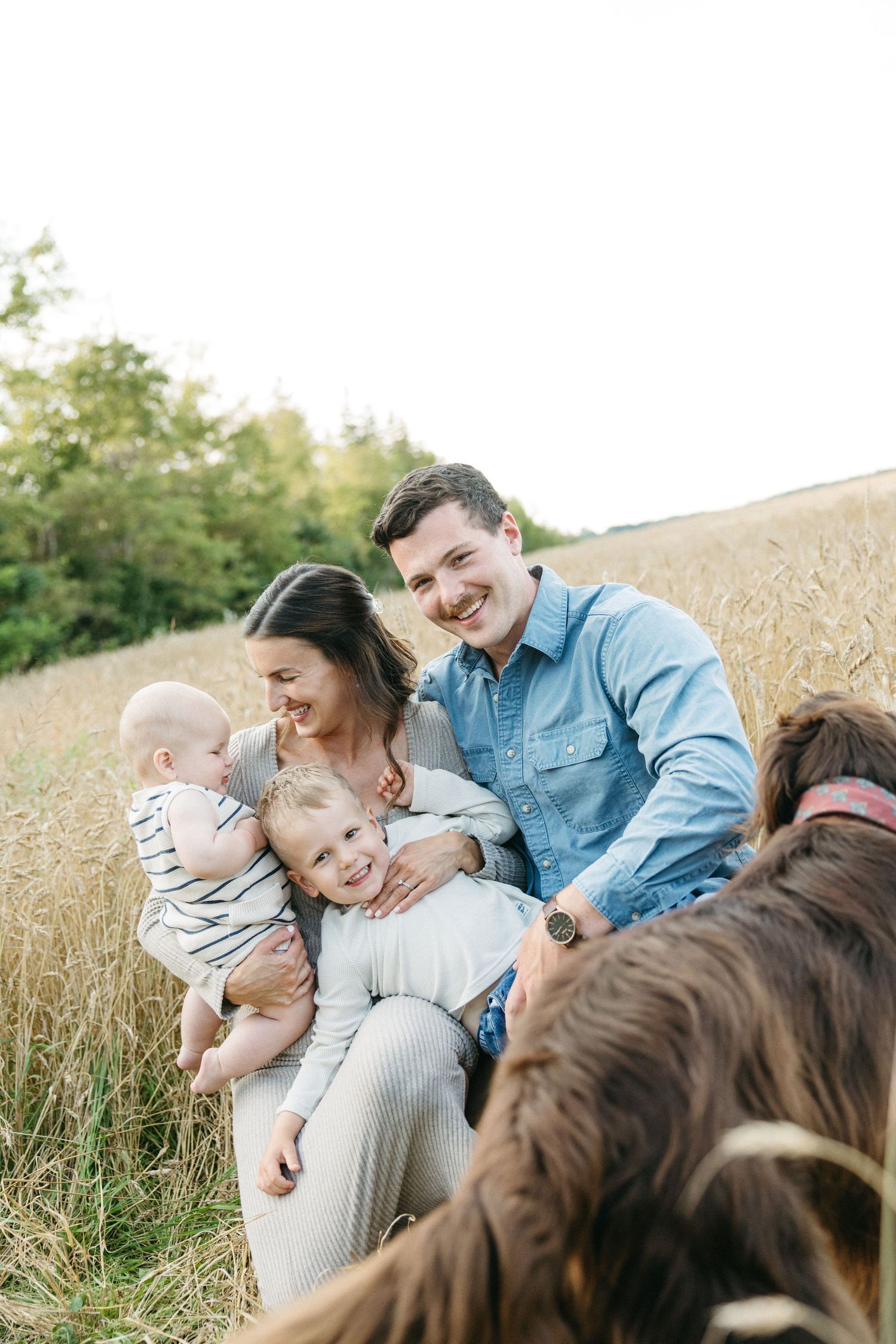 Young family with baby and toddler sit together in wheat field with brown dog nearby.