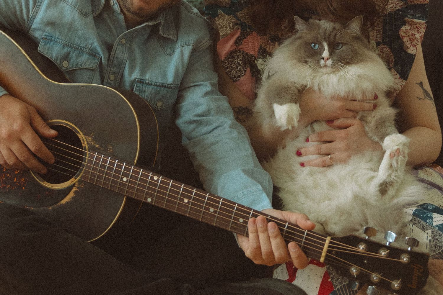 Close-up shots of hands playing an acoustic guitar with warm lighting.