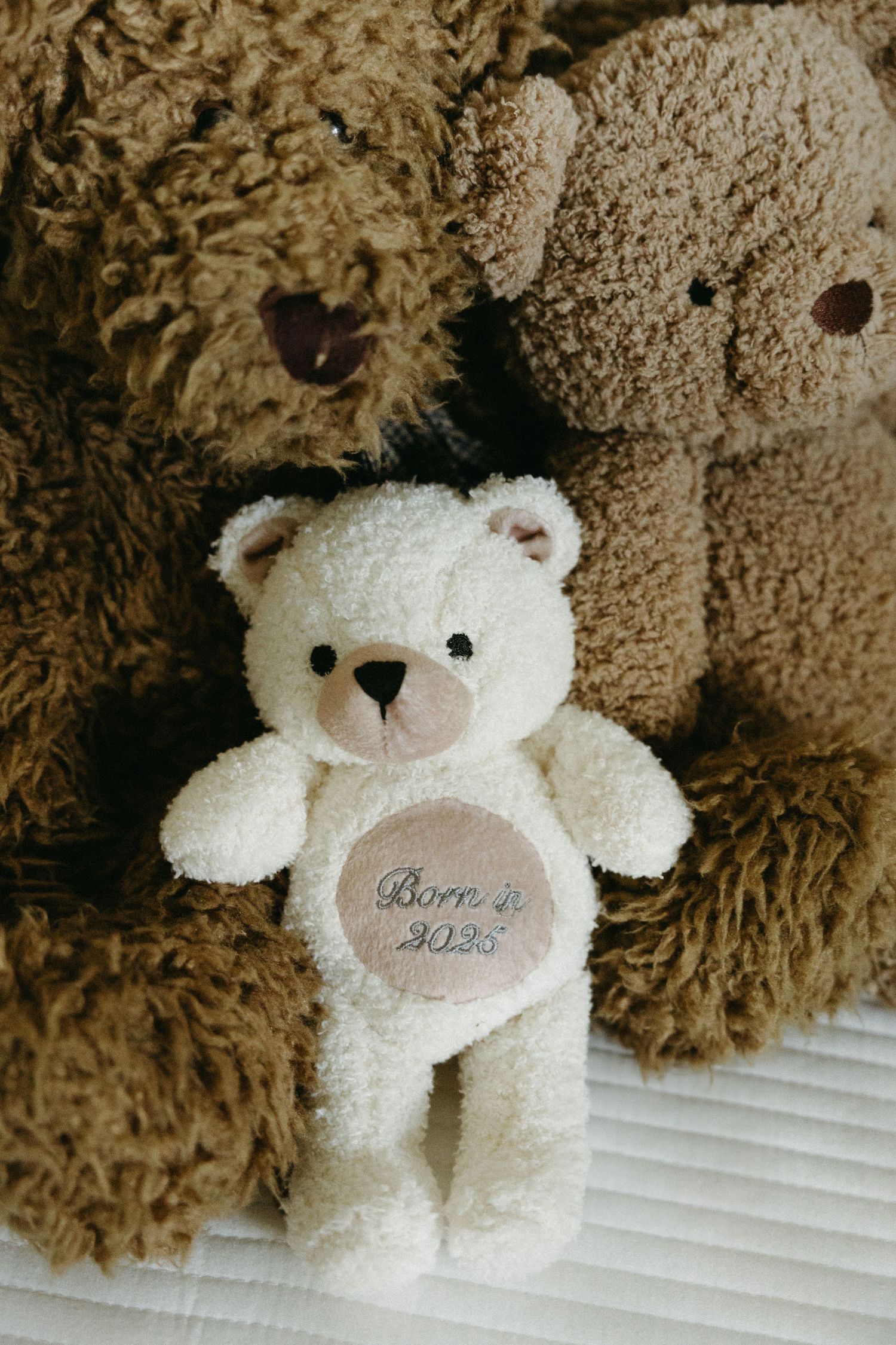 White and brown plush teddy bears sitting together on a textured surface.