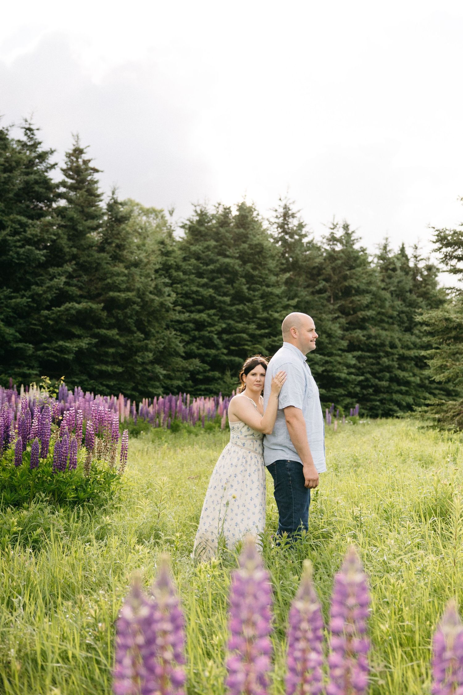 Woman in floral dress embraces man in blue shirt standing in lush lupine flower field with pine trees.