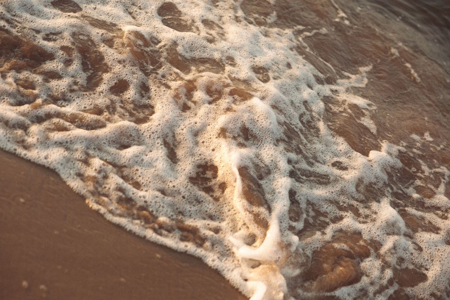 Foamy ocean waves washing over golden brown sandy shore in warm sunset light.