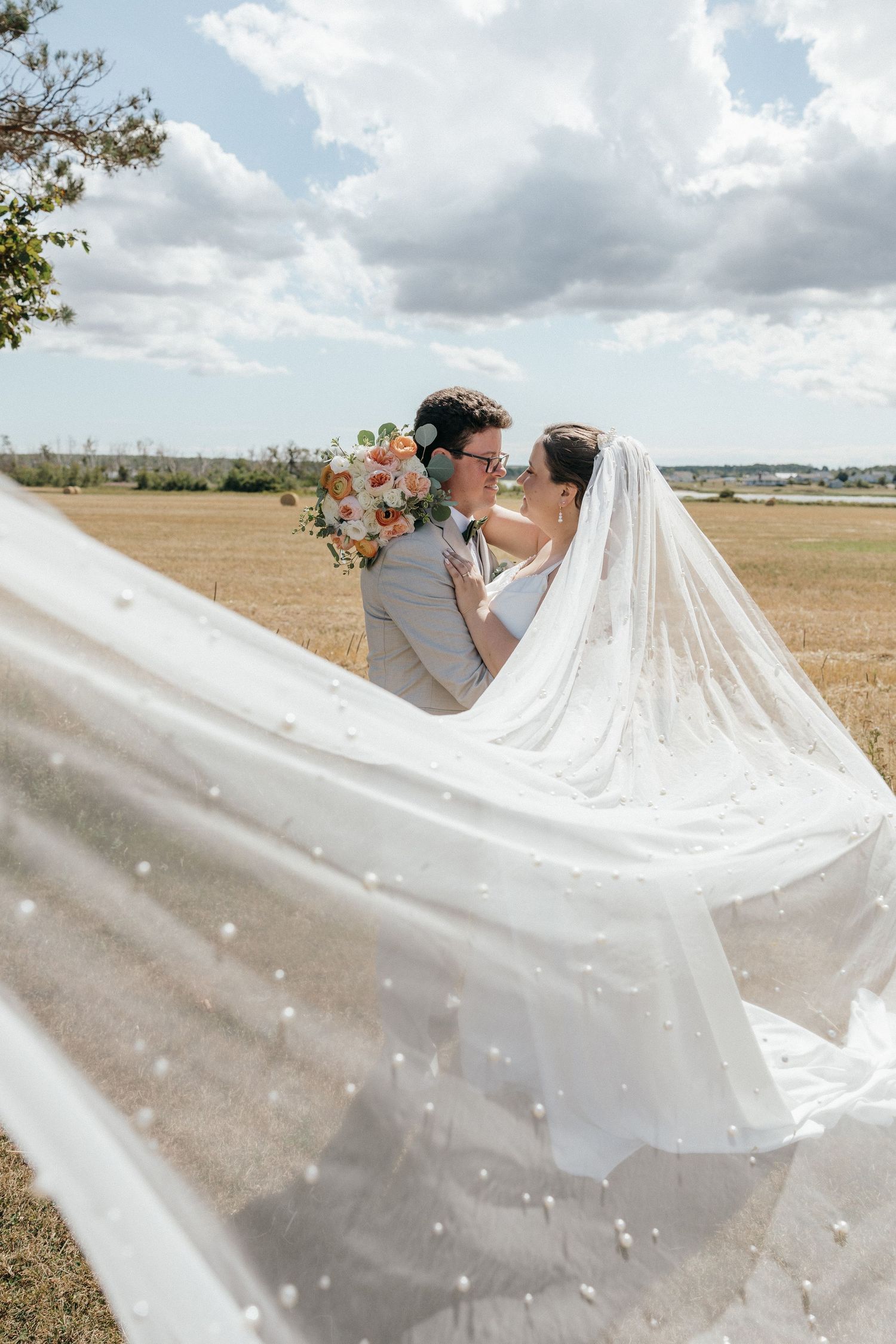 Bride and groom share a romantic kiss in a golden field, her pearl-dotted veil billowing in the wind.