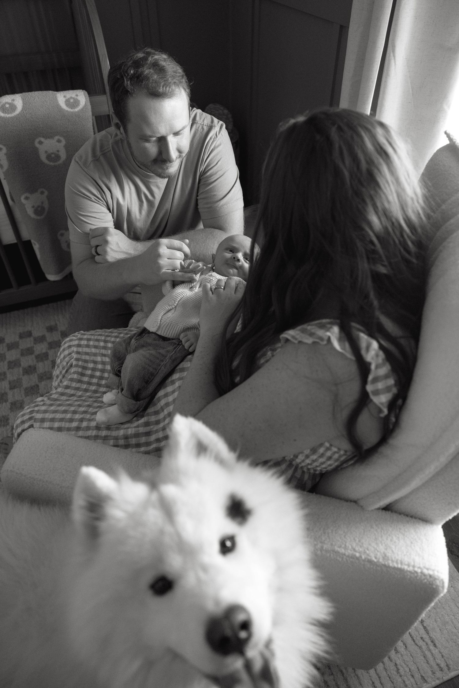 A fluffy white dog lounges on a gray couch during a casual photoshoot.
