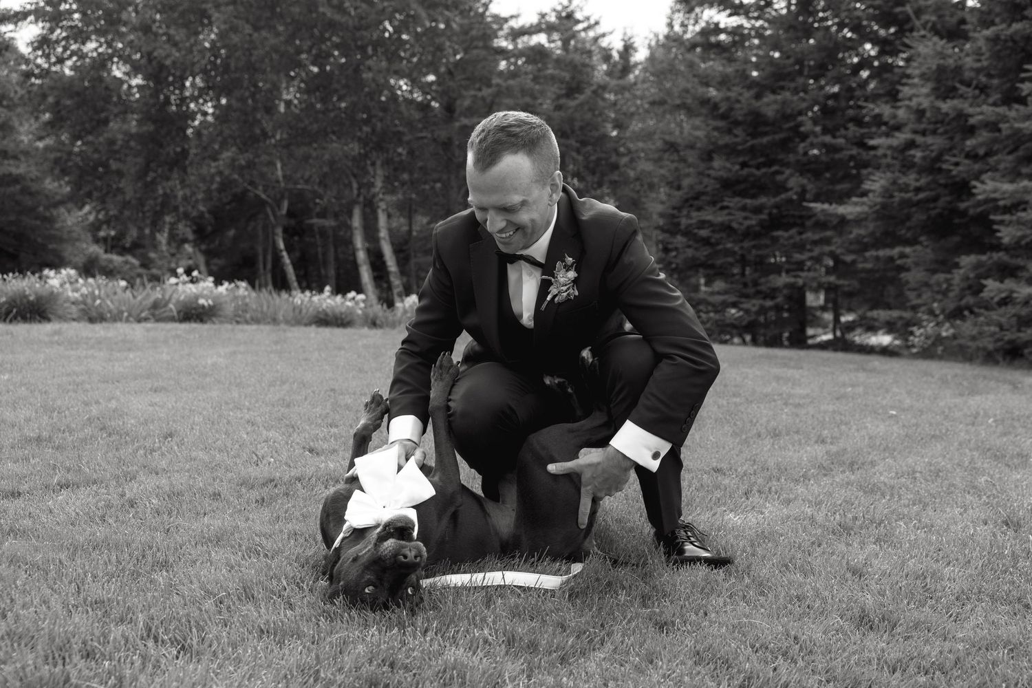 Groom in black tuxedo playfully interacting with French bulldog on green lawn in black and white photo.
