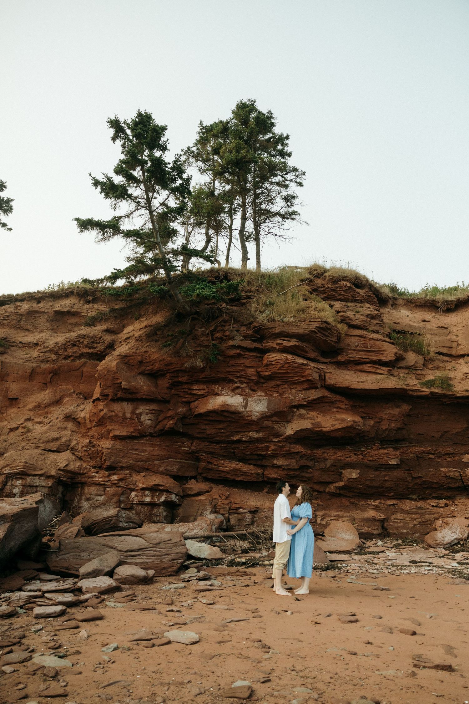 Red sandstone cliffs with pine trees line a scenic beach landscape.