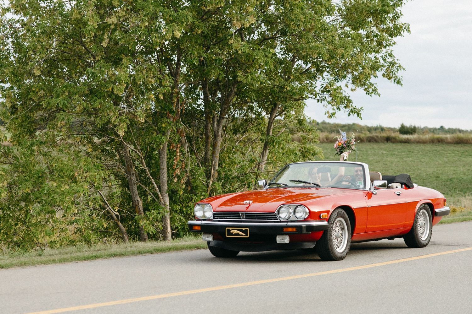 Classic red convertible sports car drives down a scenic tree-lined rural road.
