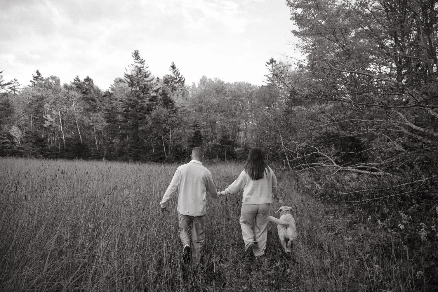 A couple and their dog walk through tall grass in a black and white photograph.
