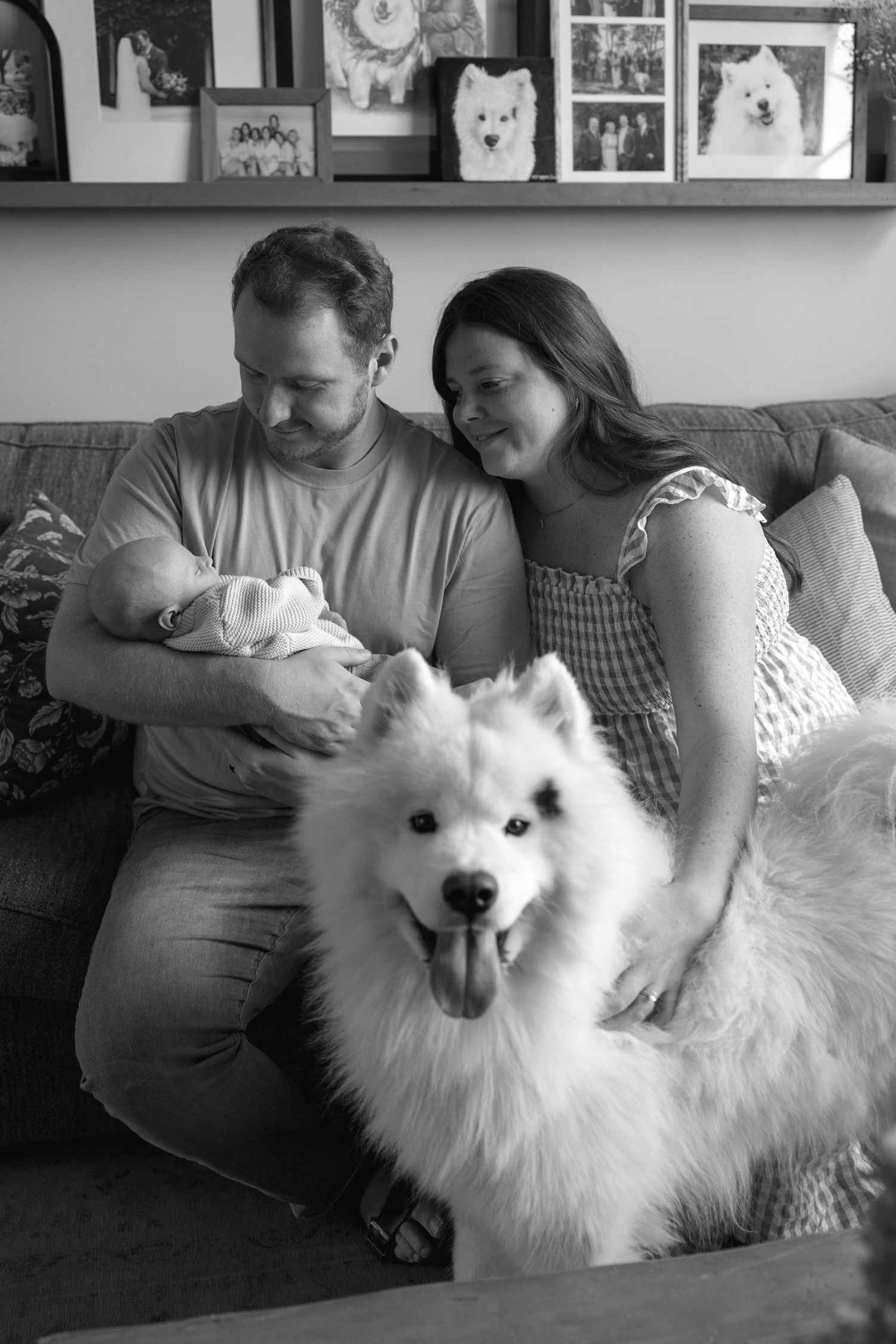 A fluffy white Samoyed dog relaxes on a couch with family members in a living room.