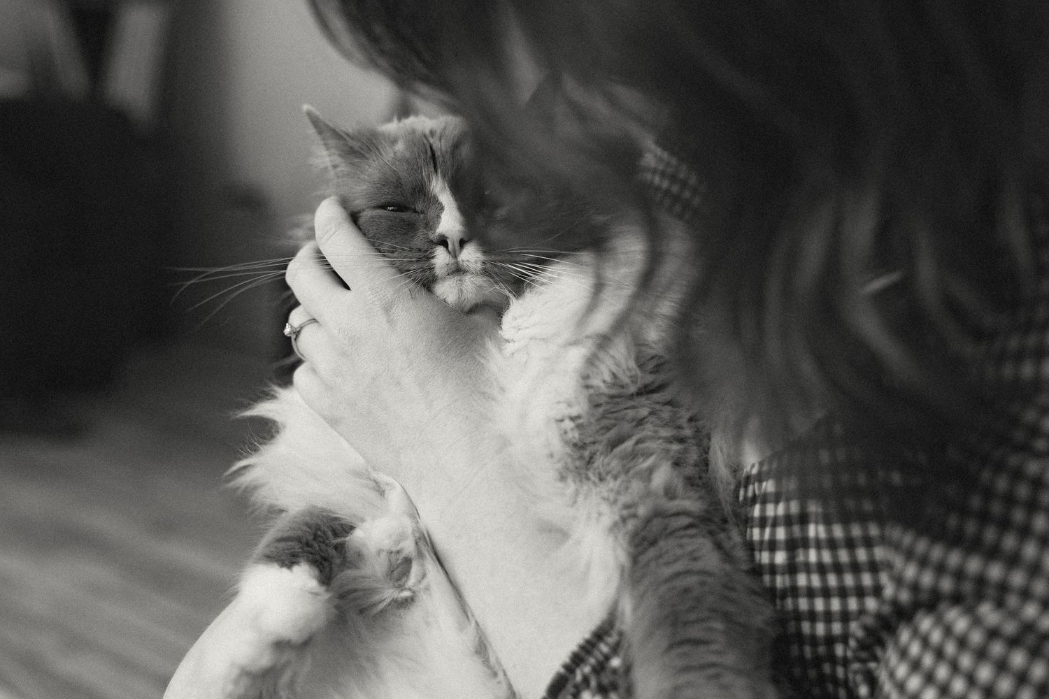 Black and white photo of a person tenderly holding a fluffy cat close to their face.