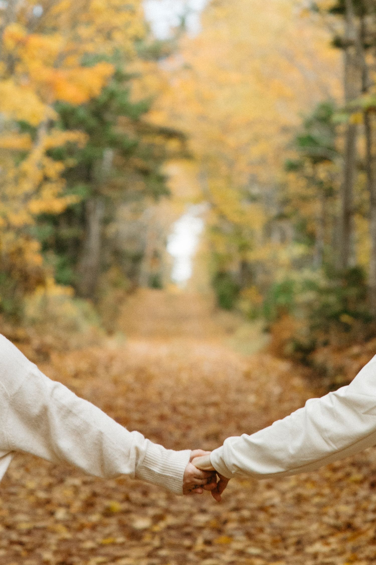 Close-up of hands holding each other against a backdrop of golden autumn trees and fallen leaves.