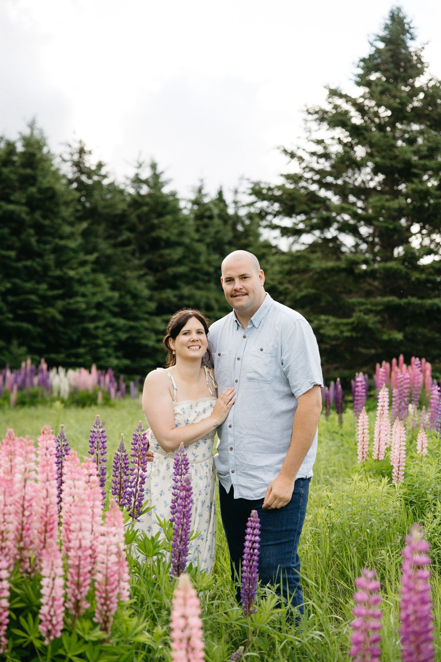 Couple smiling together in a field of pink and purple lupine flowers with evergreen trees behind them.