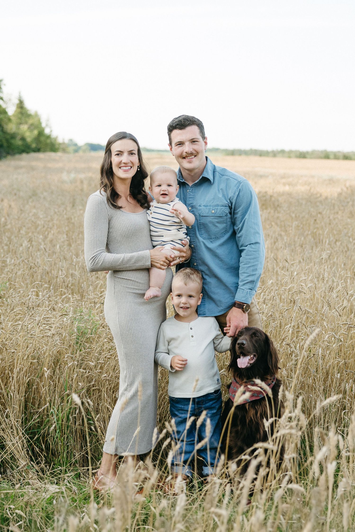 Smiling family with baby, toddler, and dog pose together in golden wheat field outdoors.