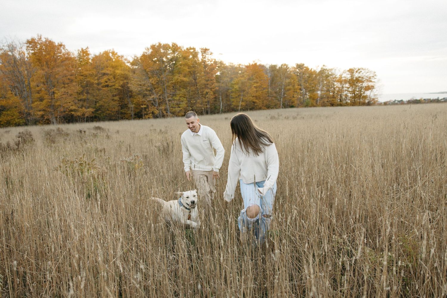 Couple walking with their white dog through autumn field at sunset.