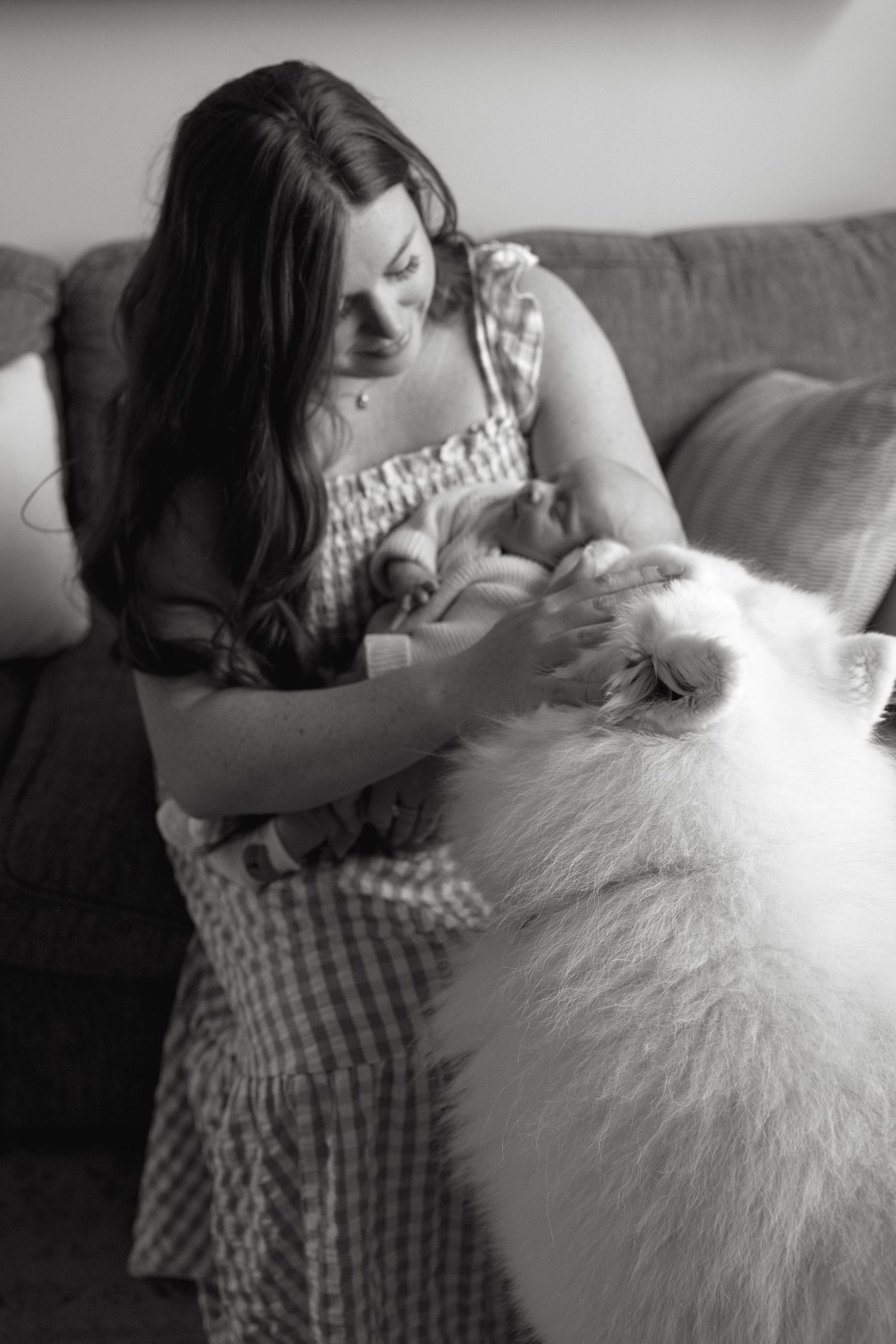 Someone in a checkered dress cuddles with a fluffy white dog on a gray couch.