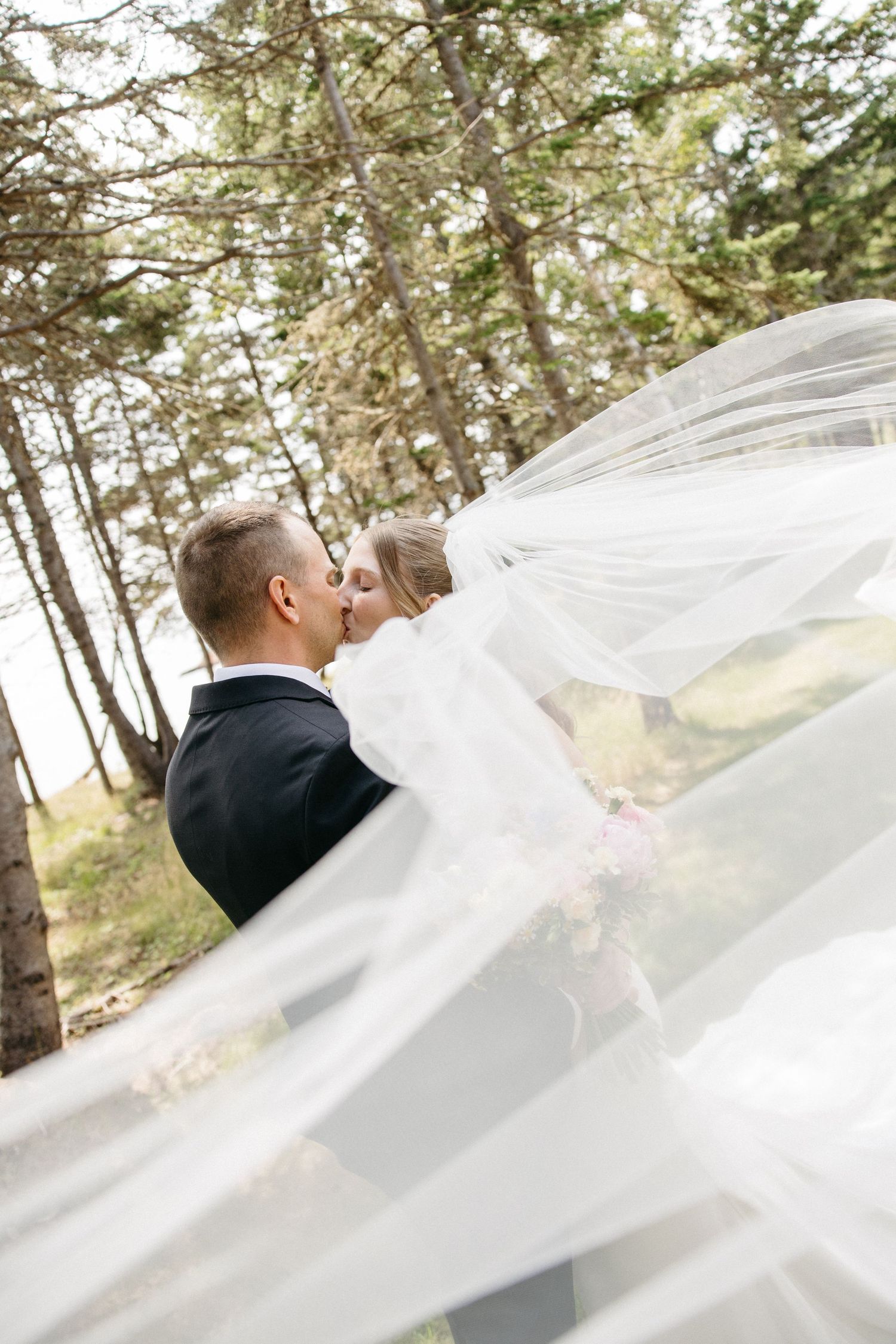 Bride and groom share a romantic kiss beneath a billowing white veil in an outdoor pine forest setting.