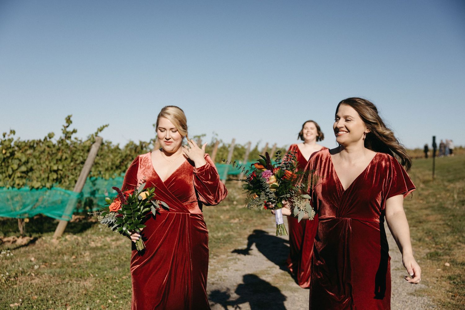 Group walking through vineyard wearing deep red velvet dresses on sunny day.