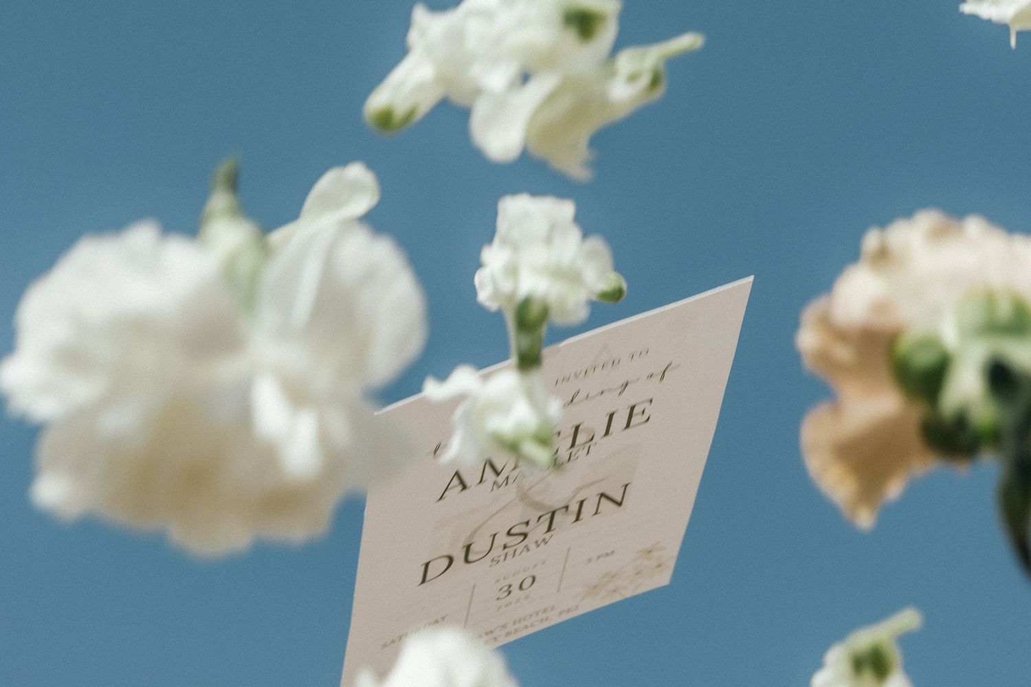 Wedding invitation card for Amelie and Dustin surrounded by white flowers against a blue sky.