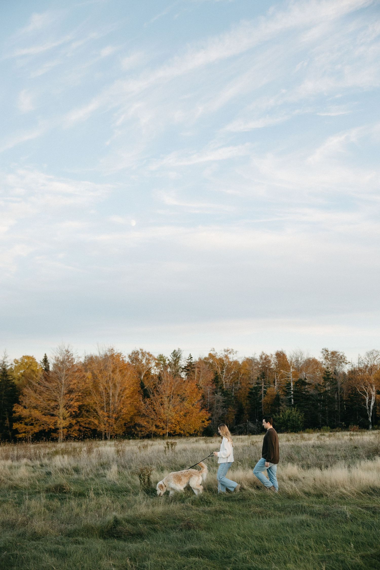 Two people walk a golden retriever through a grassy field toward colorful autumn trees under a soft blue sky with wispy clouds.
