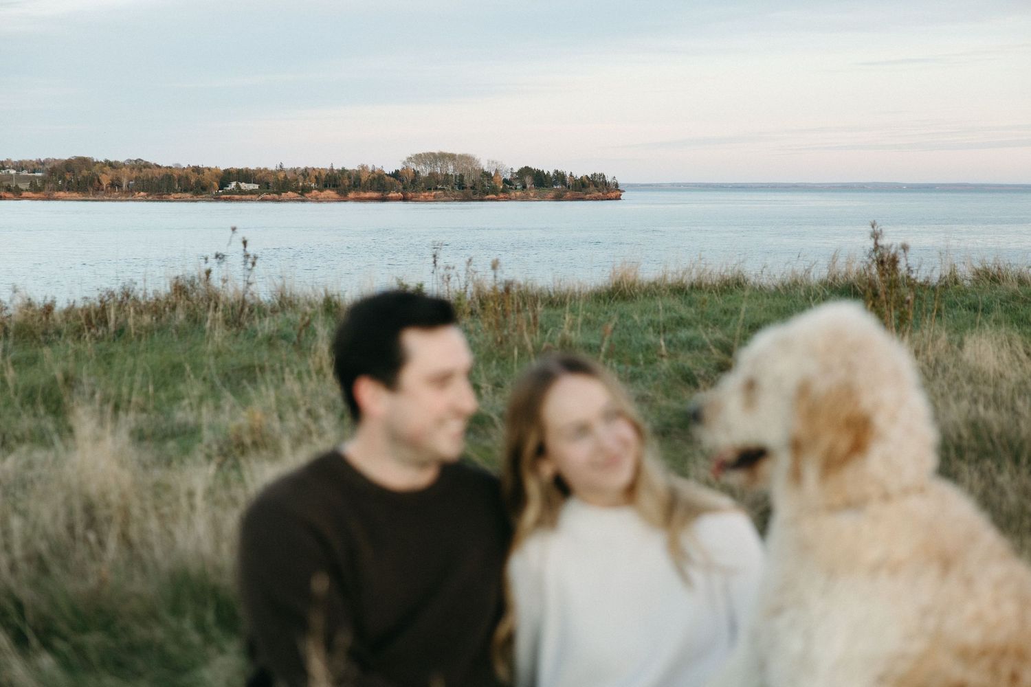 Smiling couple sitting in a grassy field overlooking the water with a fluffy golden doodle dog in the foreground at sunset.