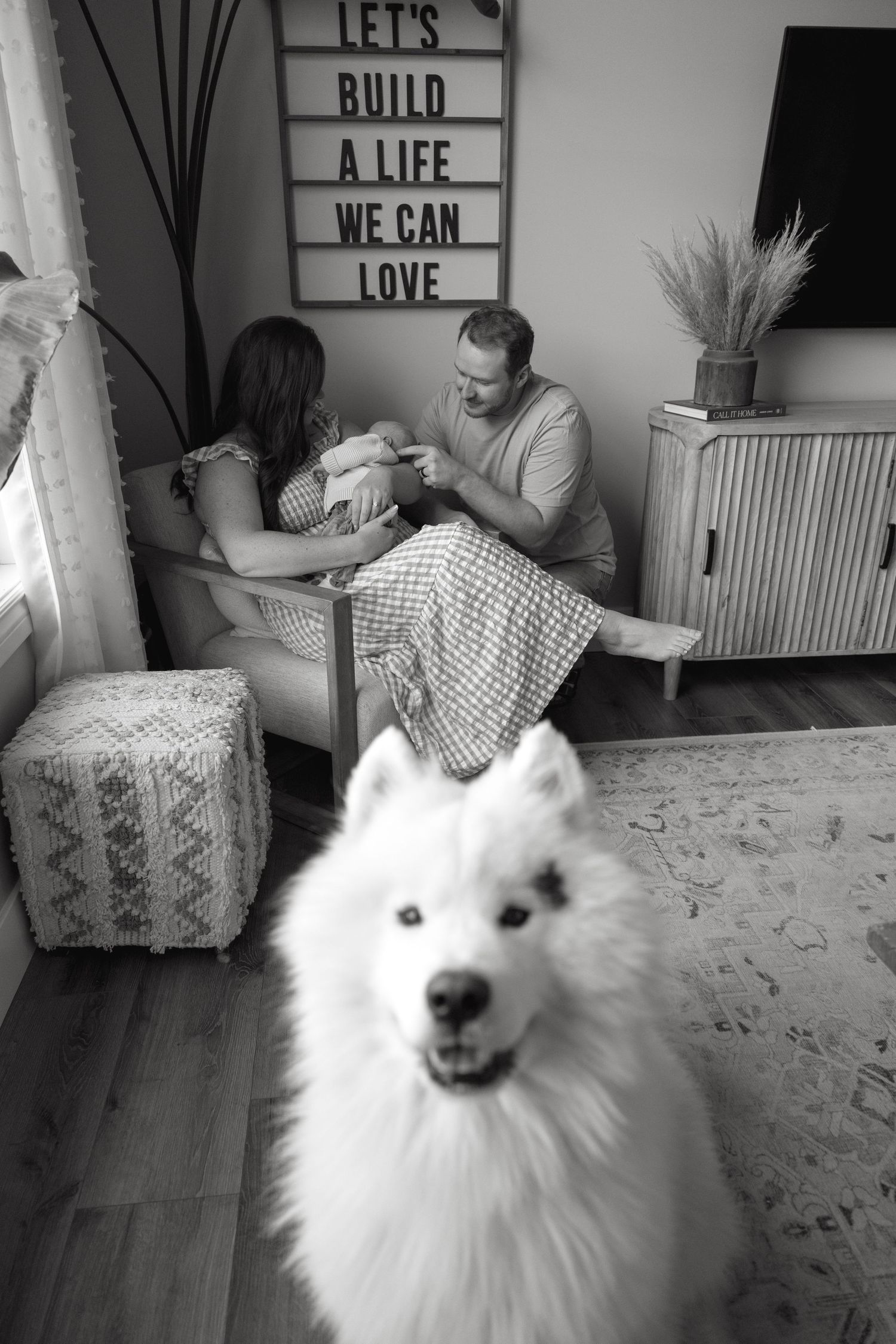 Playful white Samoyed dog poses in a living room with decorative wall signs.