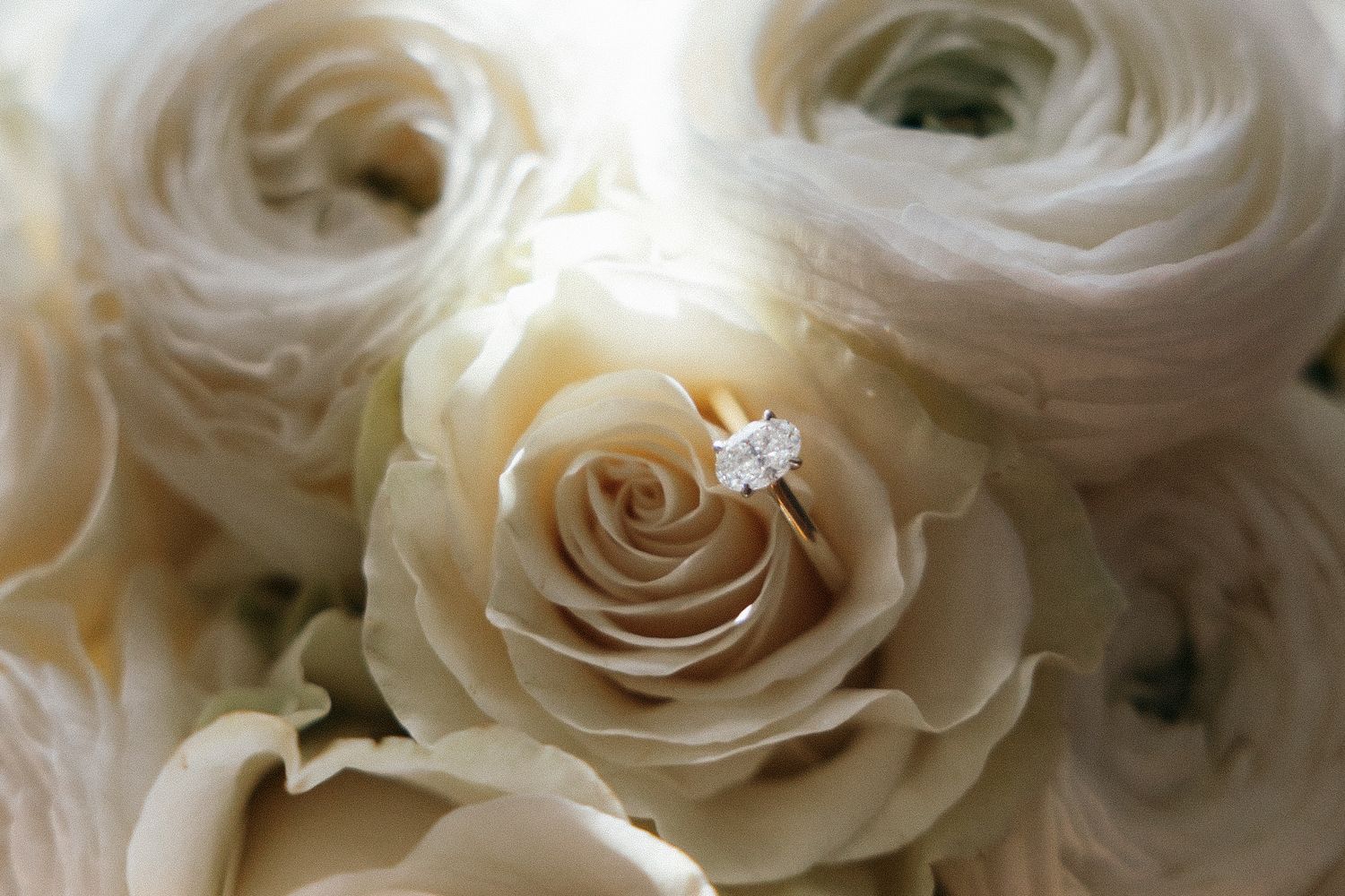Close-up detail of pristine white roses with soft, delicate petals.