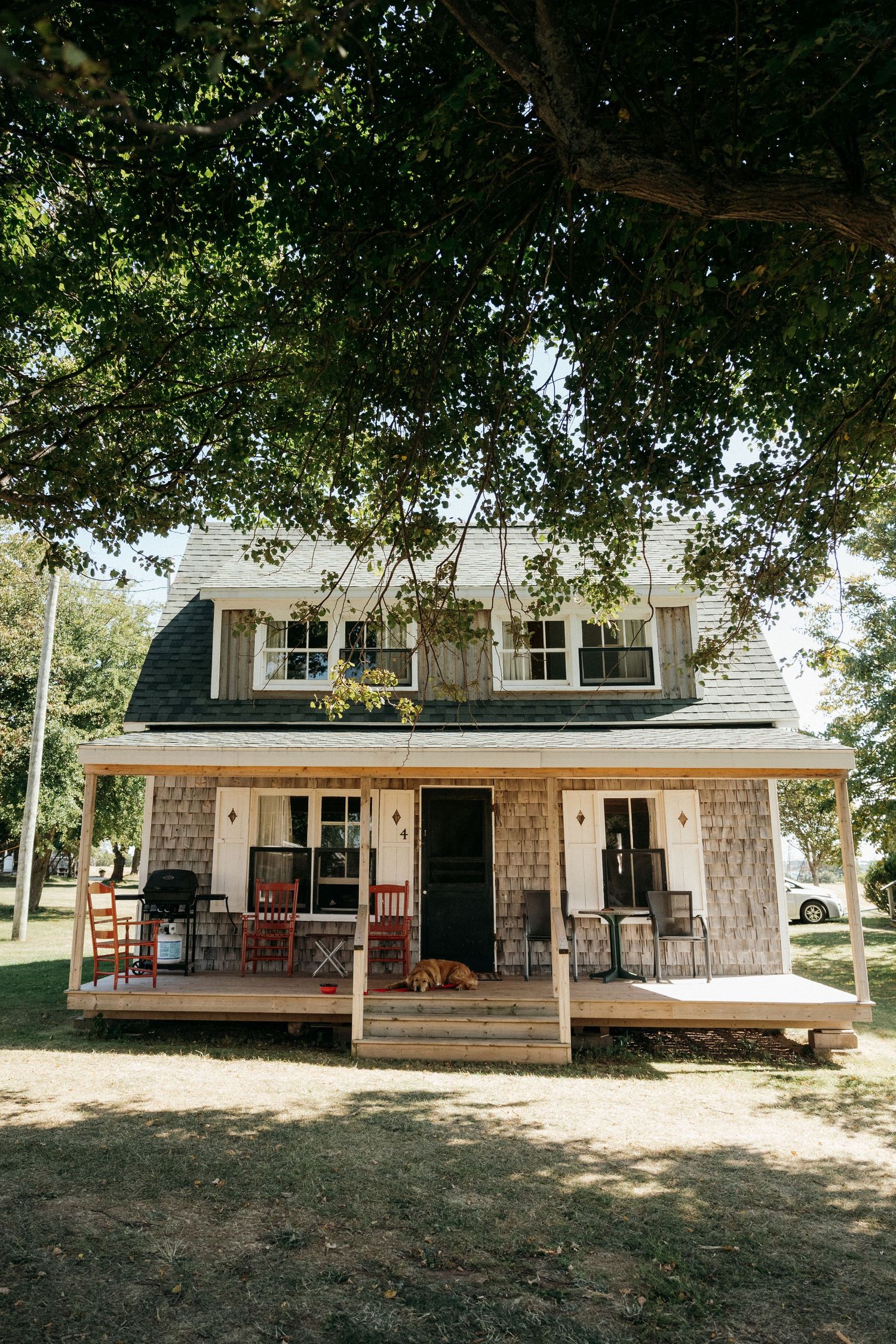 Charming rustic farmhouse with covered porch, gambrel roof, and golden retriever resting on steps beneath large trees.