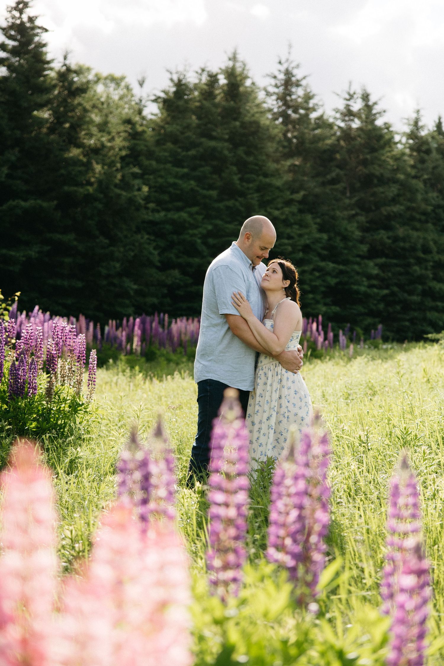 Couple embracing in a field of purple lupine flowers with evergreen trees in the background.