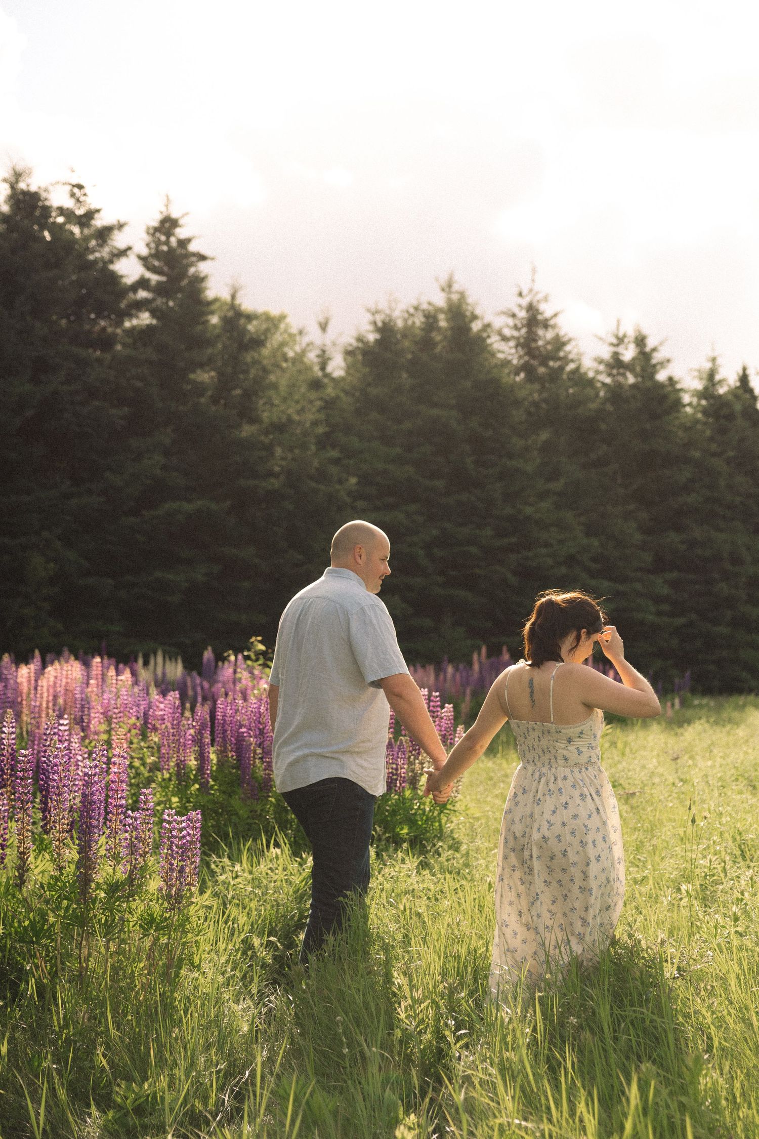 Couple holding hands walking through a lush green field with purple lupine flowers and evergreen trees at golden hour.